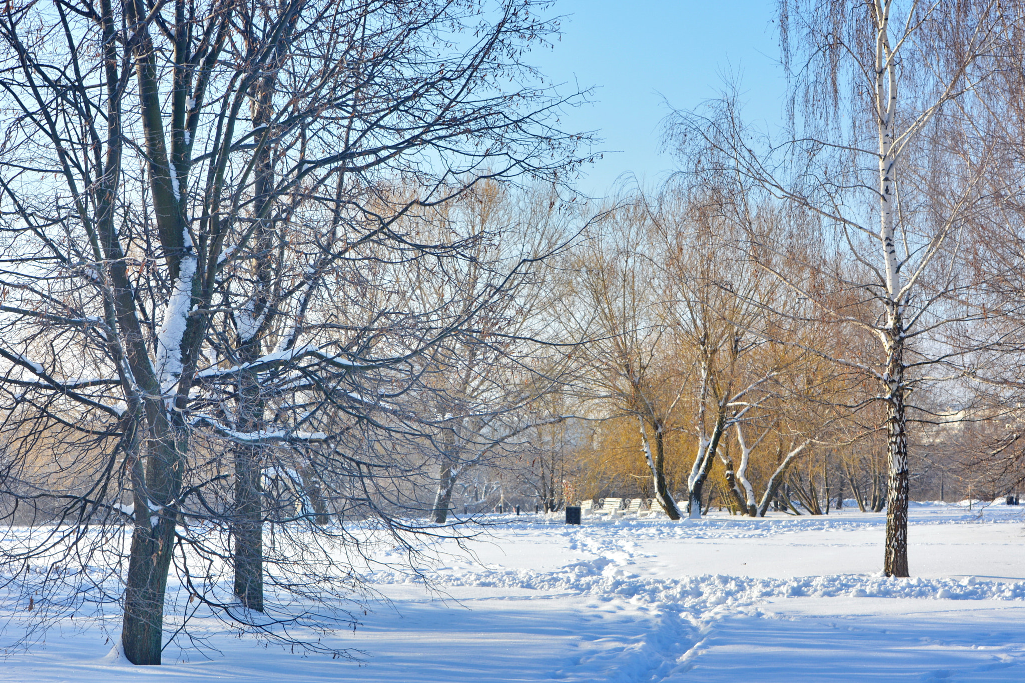 Nikon D5200 sample photo. Sunny winter day photography
