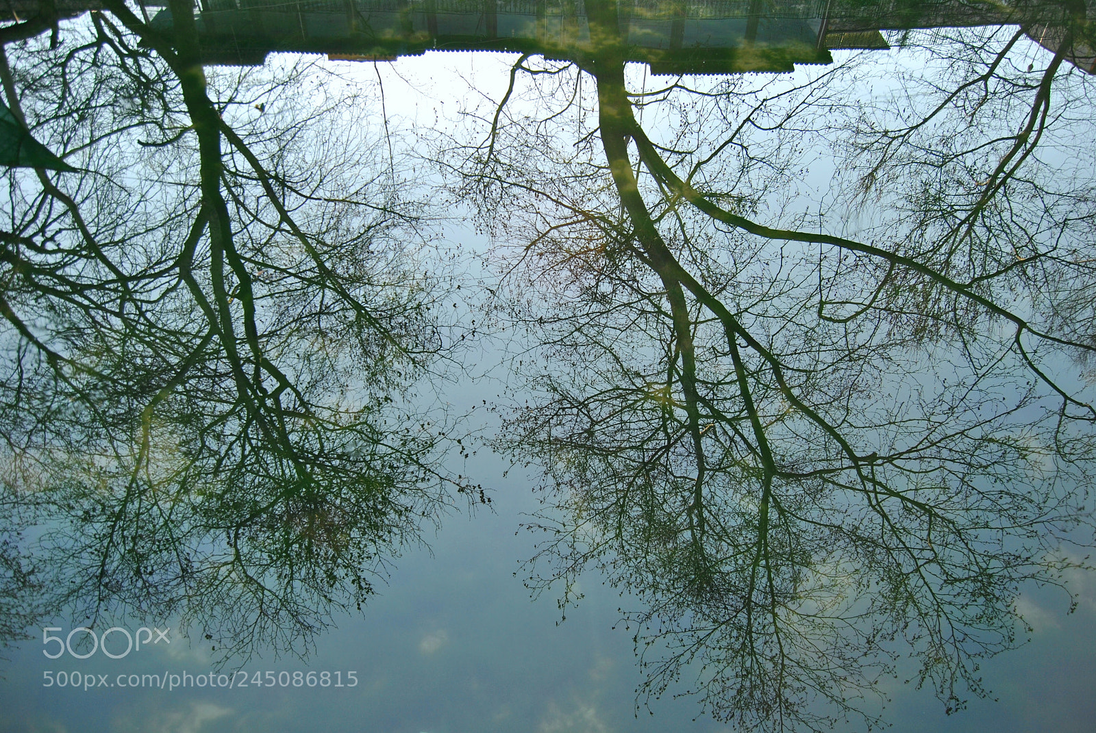 Nikon D3000 sample photo. Reflection photography
