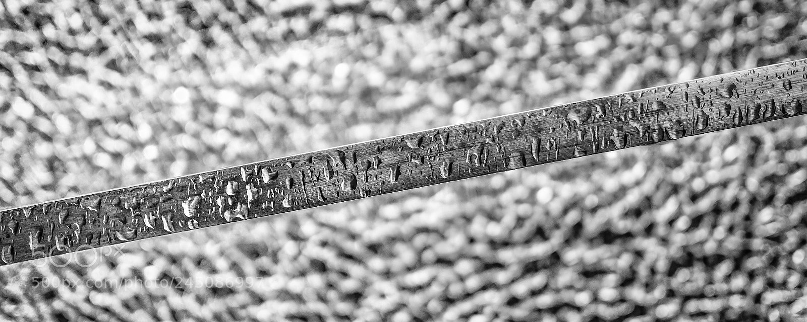 Nikon D810 sample photo. Plashy handrail photography