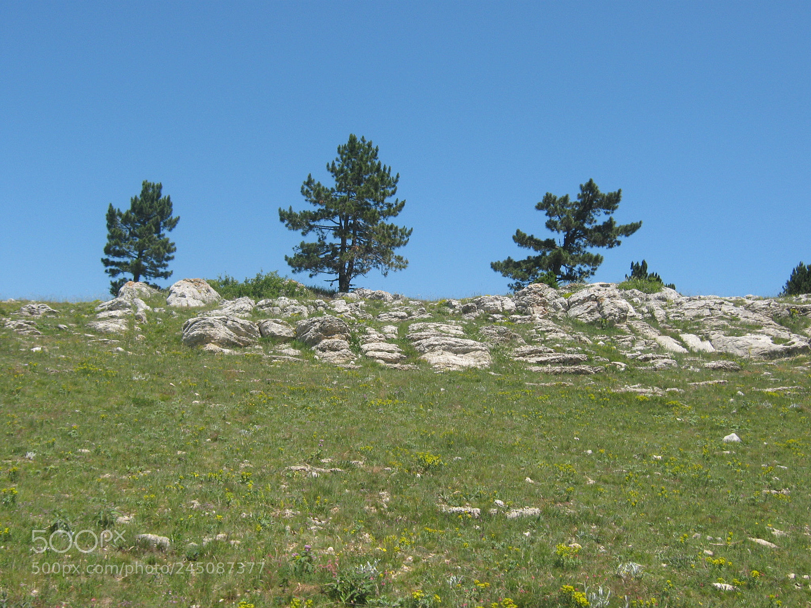 Canon PowerShot A470 sample photo. Crimean landscape photography
