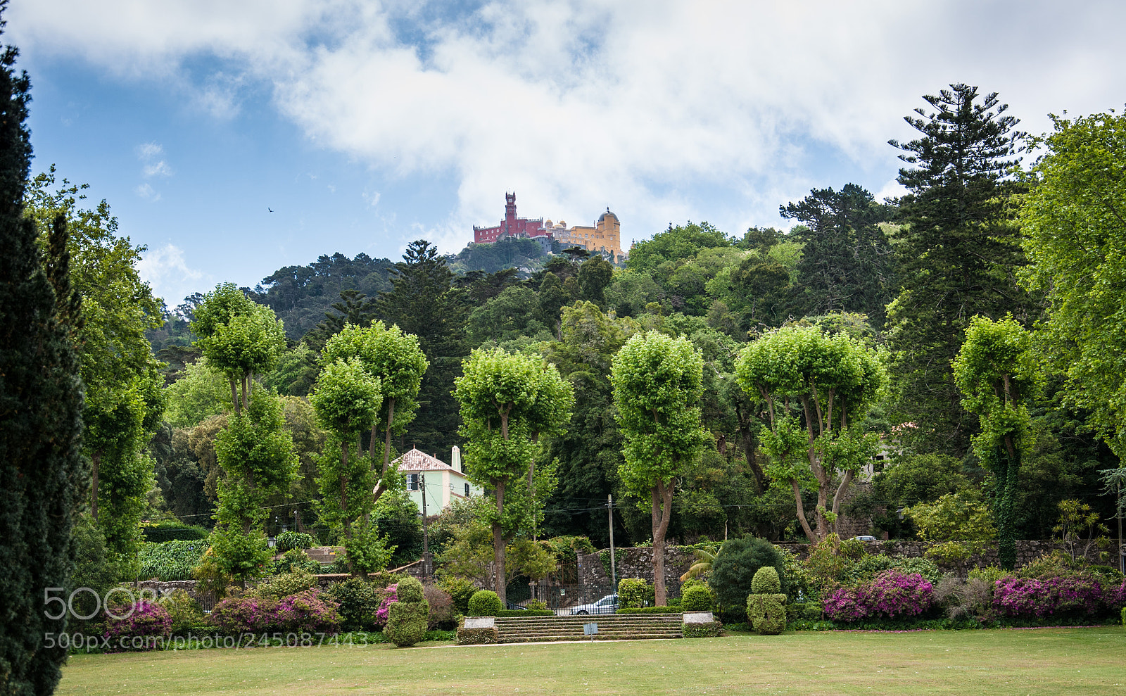 Nikon D5000 sample photo. Sintra national palace photography