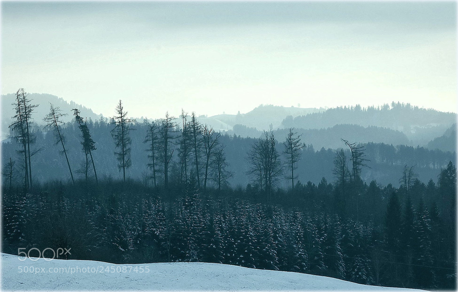 Nikon D7200 sample photo. "hills" photography