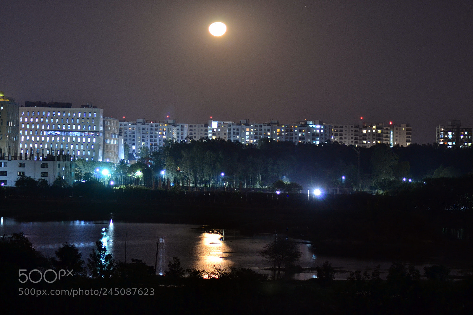 Nikon D3100 sample photo. Moonrise photography