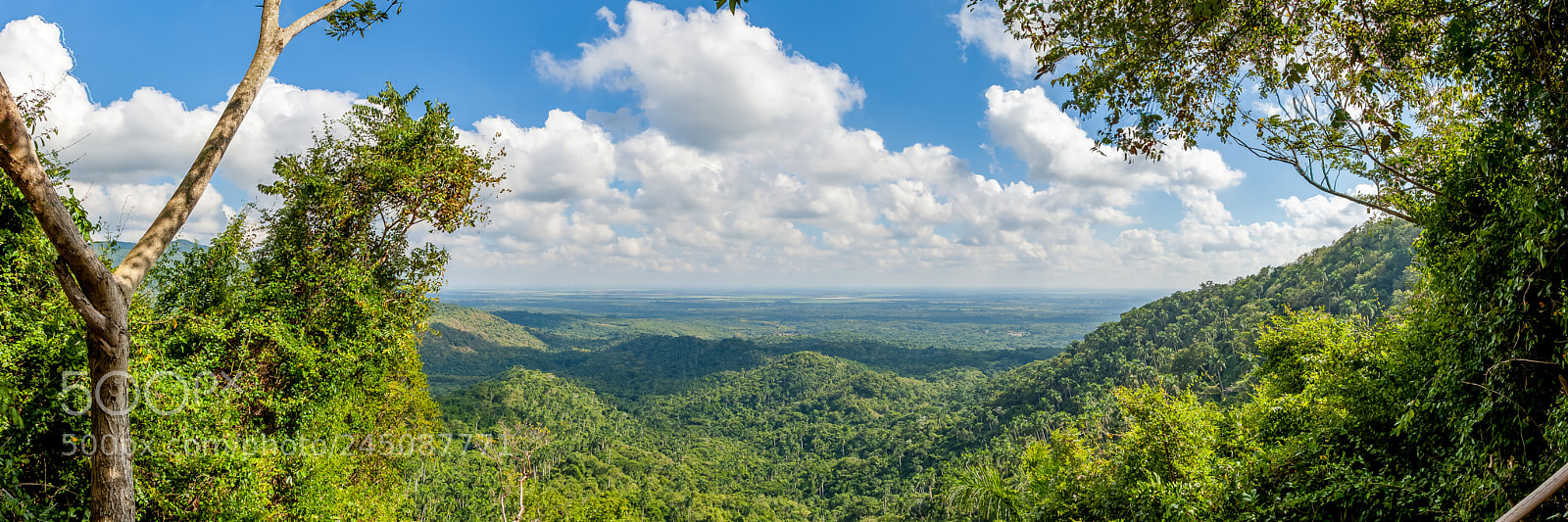 Canon EOS 5D Mark II sample photo. Soroa tropical forest photography