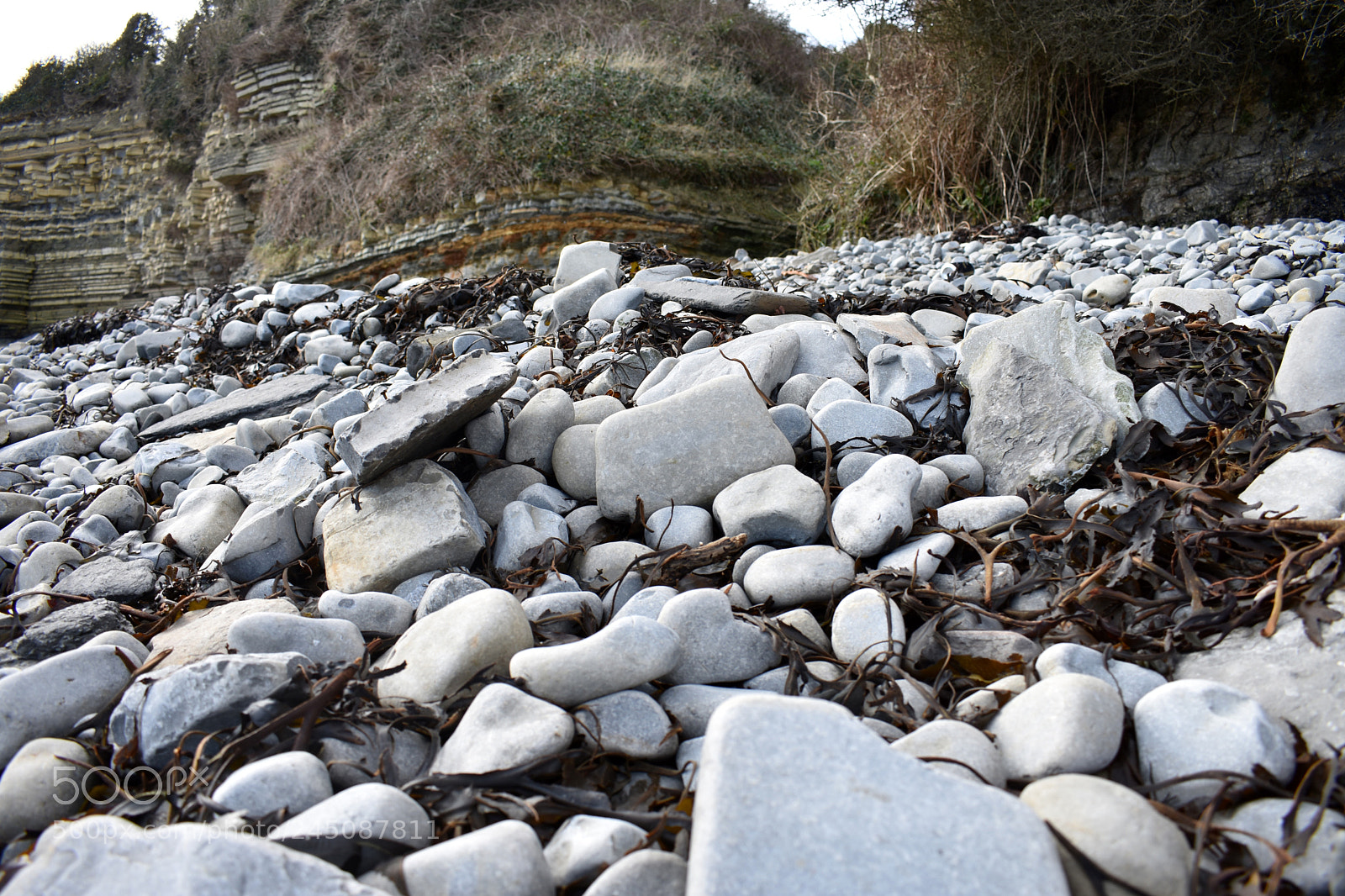 Nikon D3400 sample photo. Lavernock photography