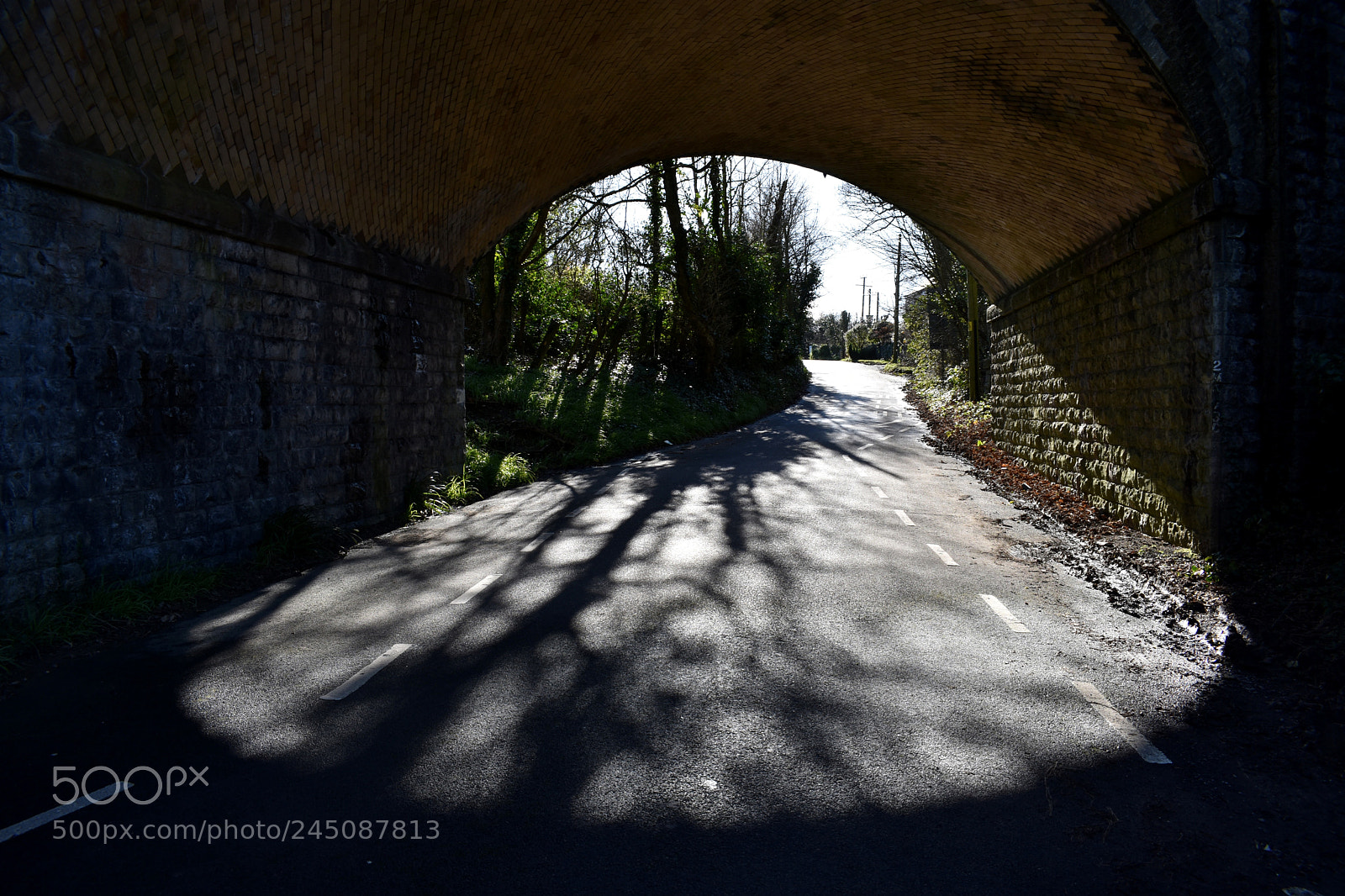Nikon D3400 sample photo. Lavernock photography