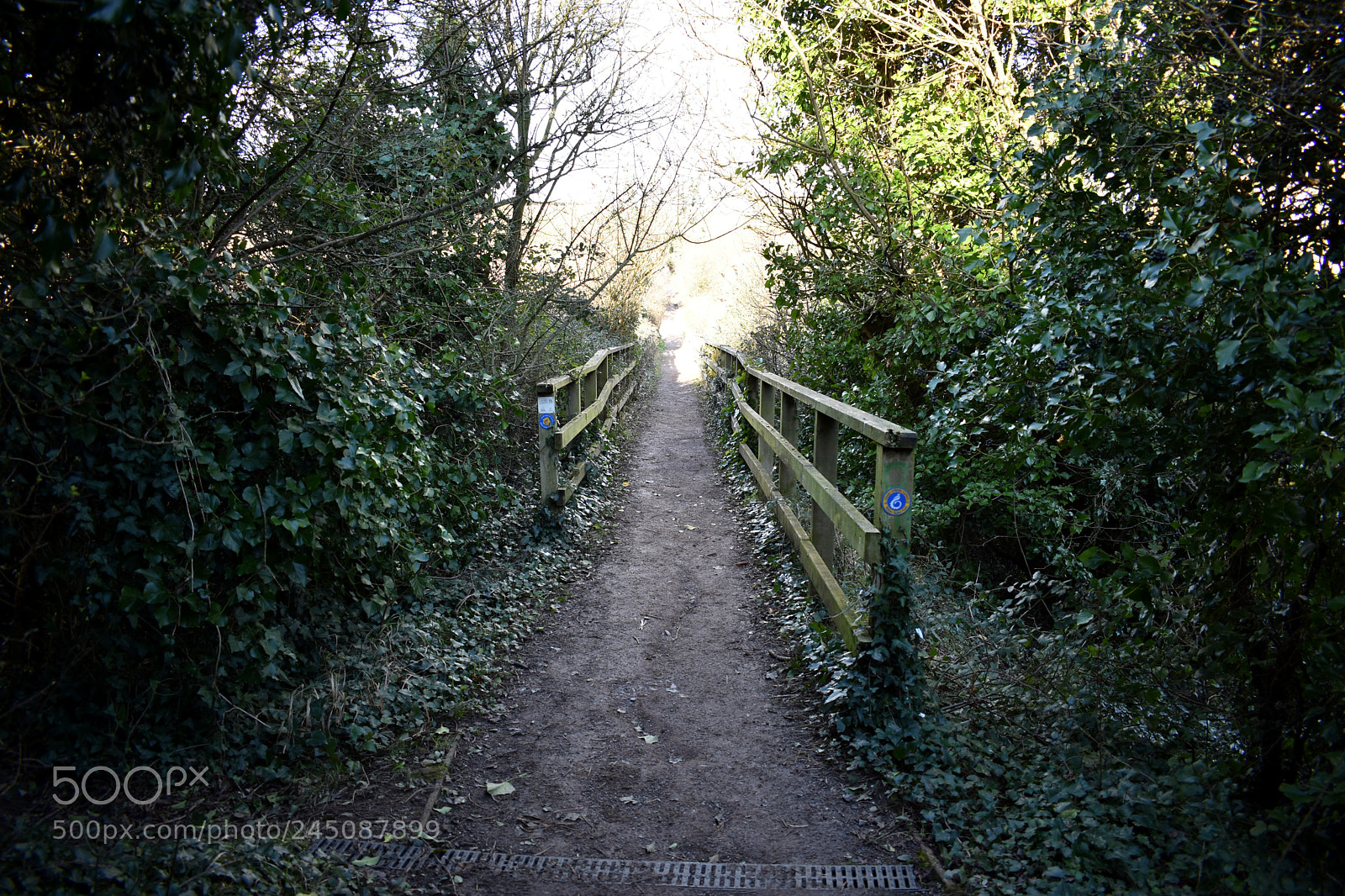 Nikon D3400 sample photo. Lavernock photography