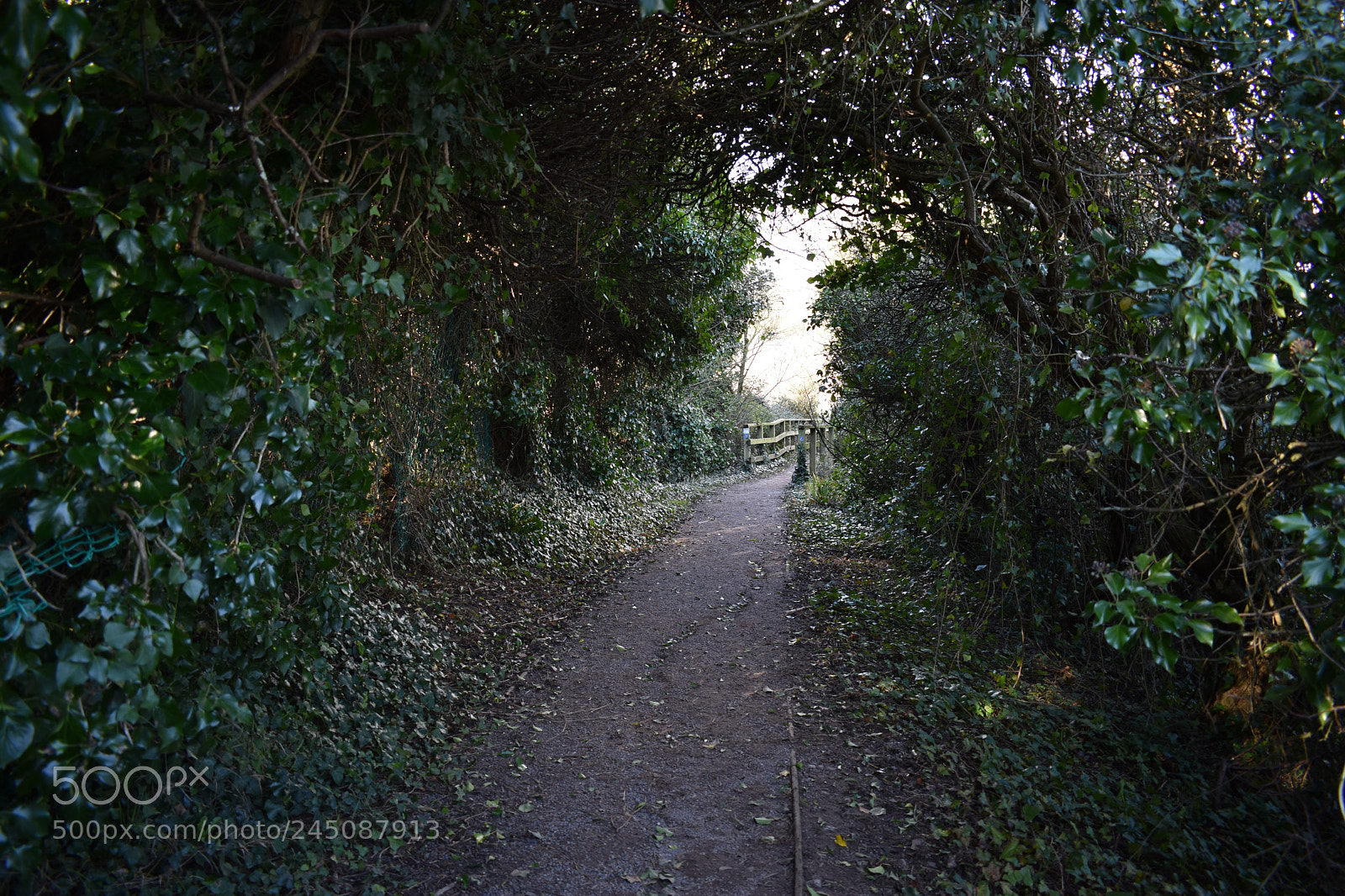 Nikon D3400 sample photo. Lavernock photography