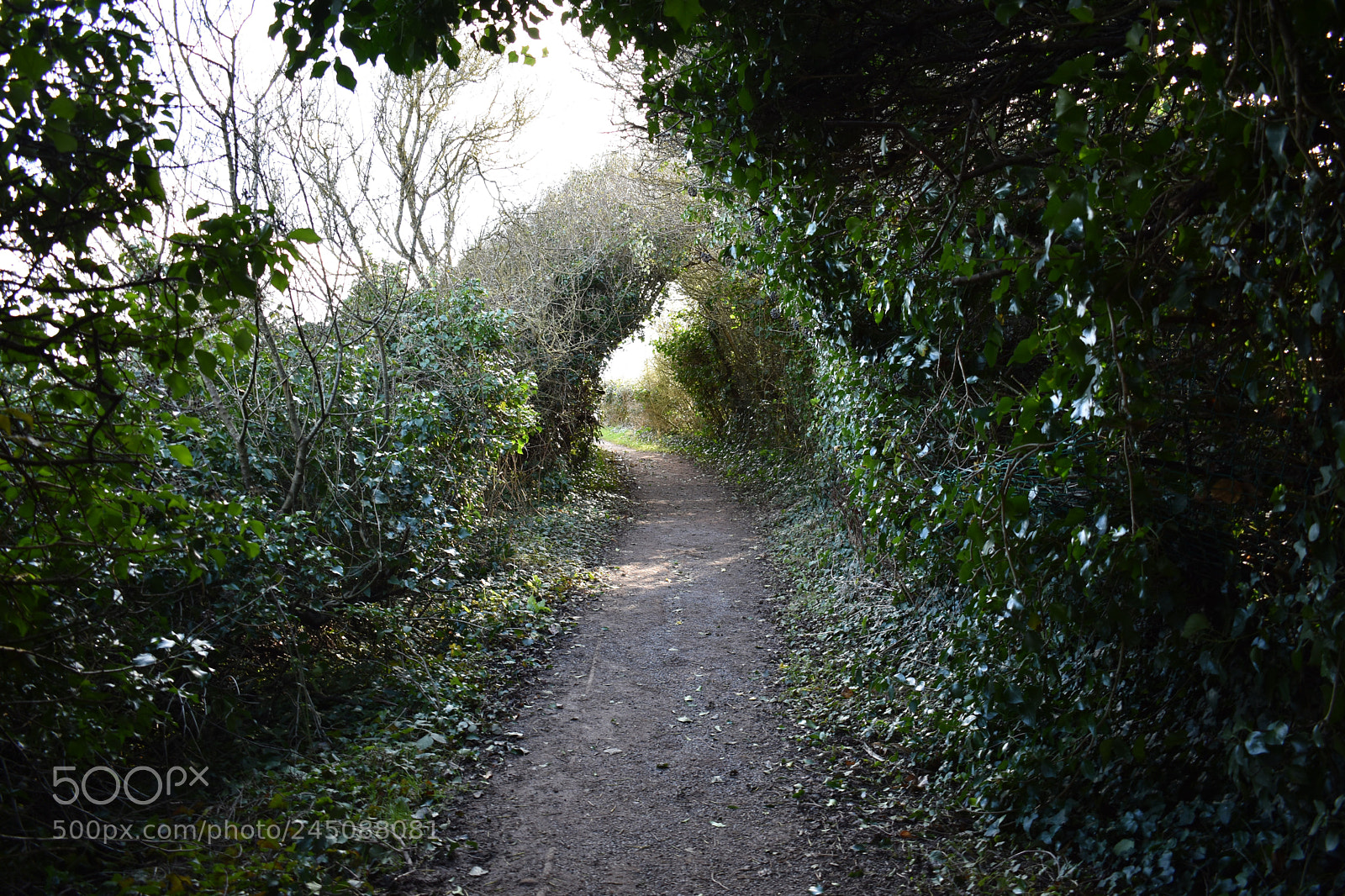 Nikon D3400 sample photo. Lavernock photography