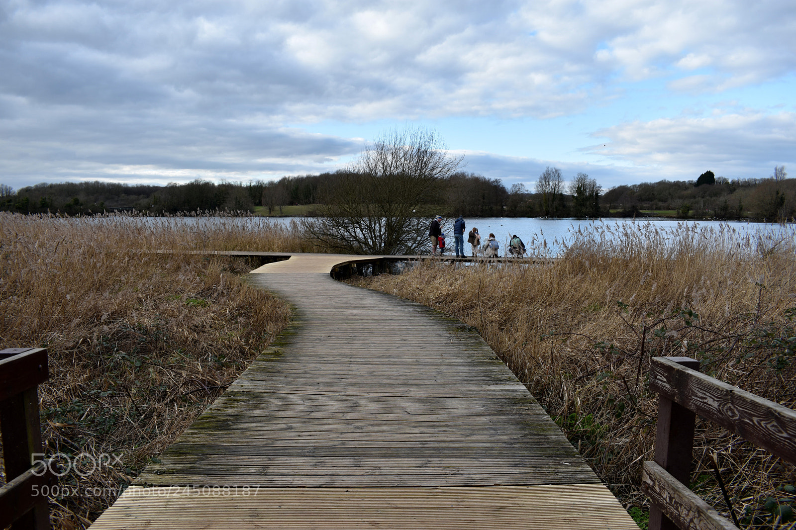 Nikon D3400 sample photo. Cosmeston lake photography