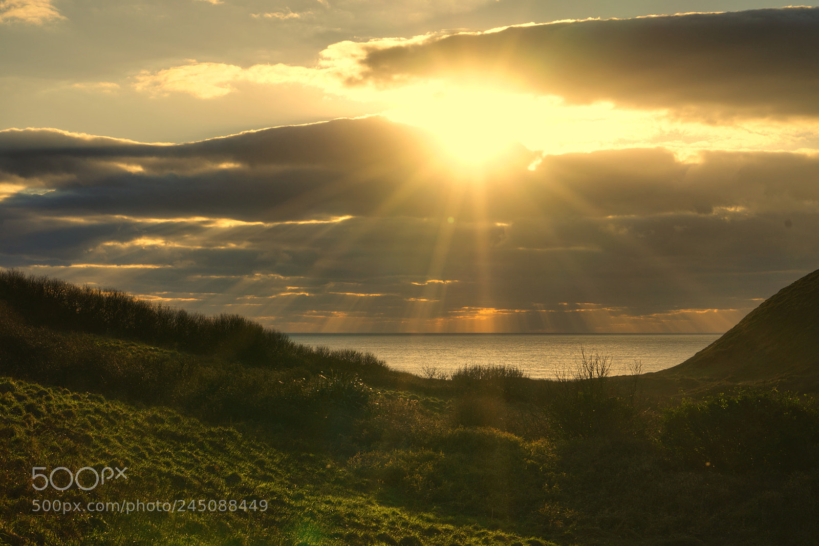 Sony a7 sample photo. Golden glow photography