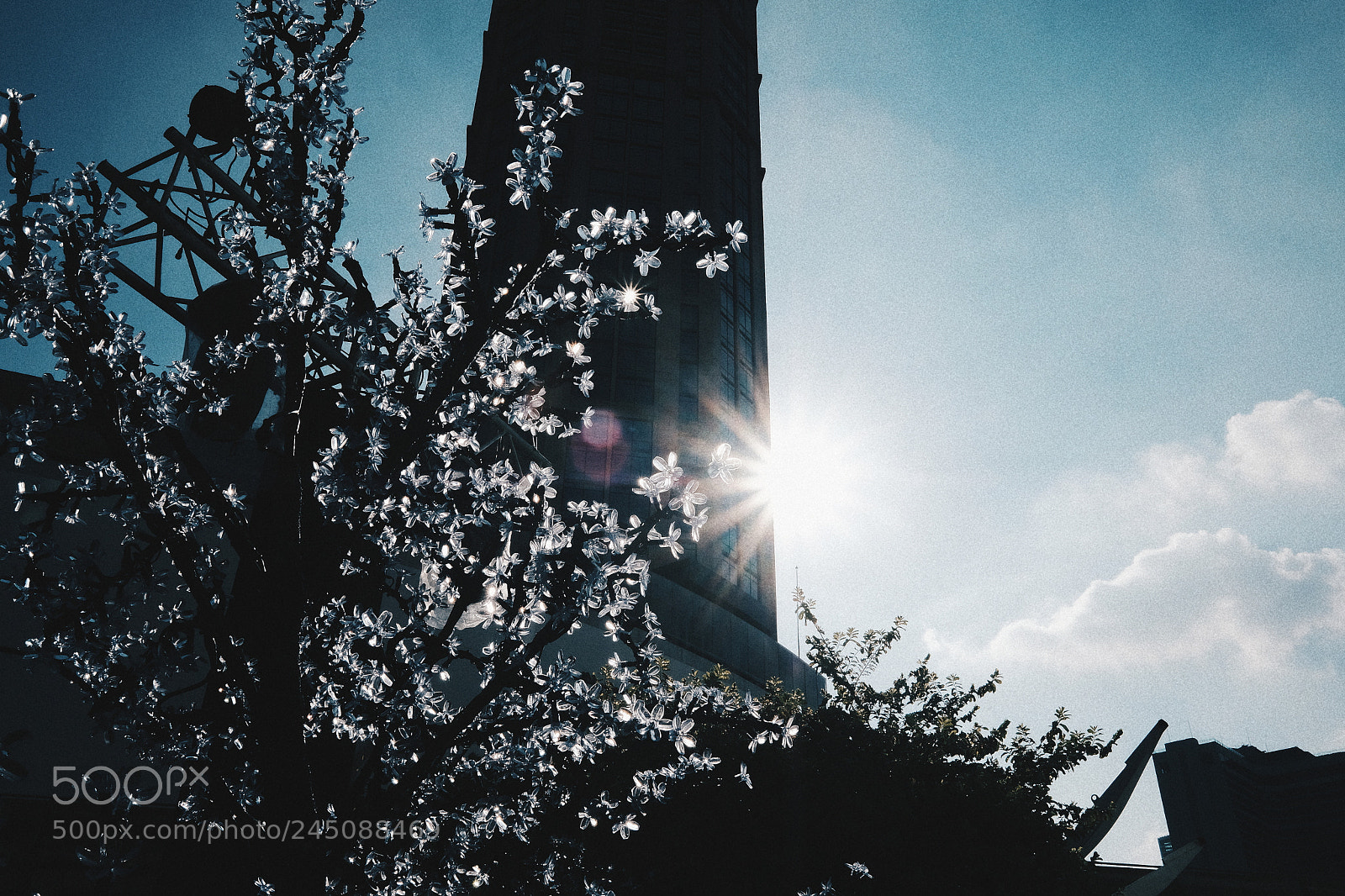 Fujifilm X-Pro2 sample photo. Untitled photography