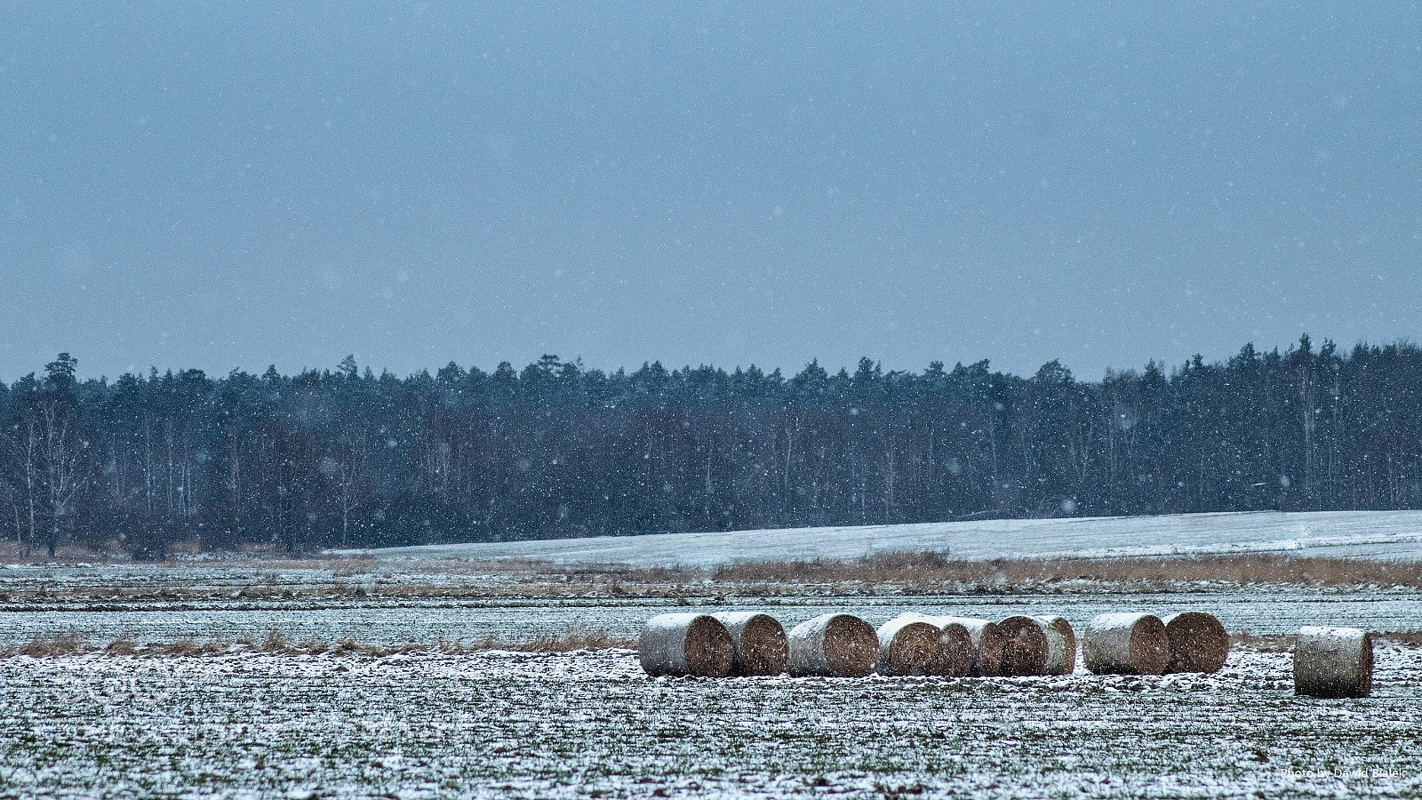 Canon EOS 1300D (EOS Rebel T6 / EOS Kiss X80) sample photo. „snowy field” photography