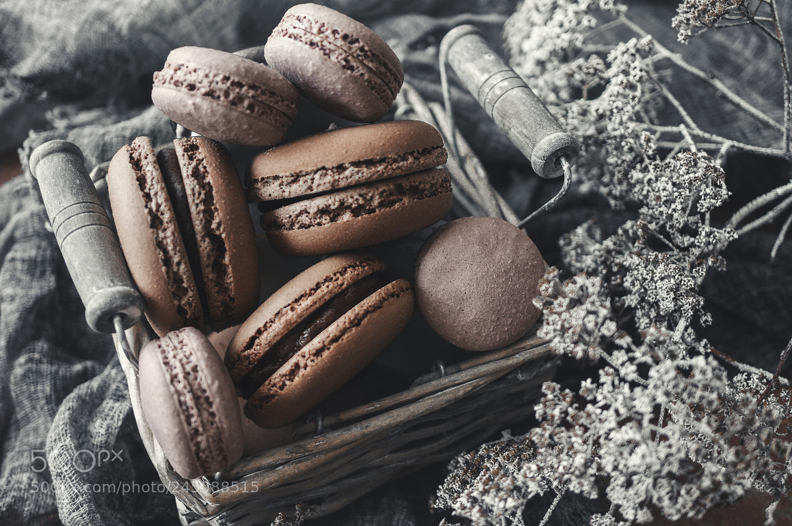Sony Alpha NEX-6 sample photo. Freshly baked macaroons in photography