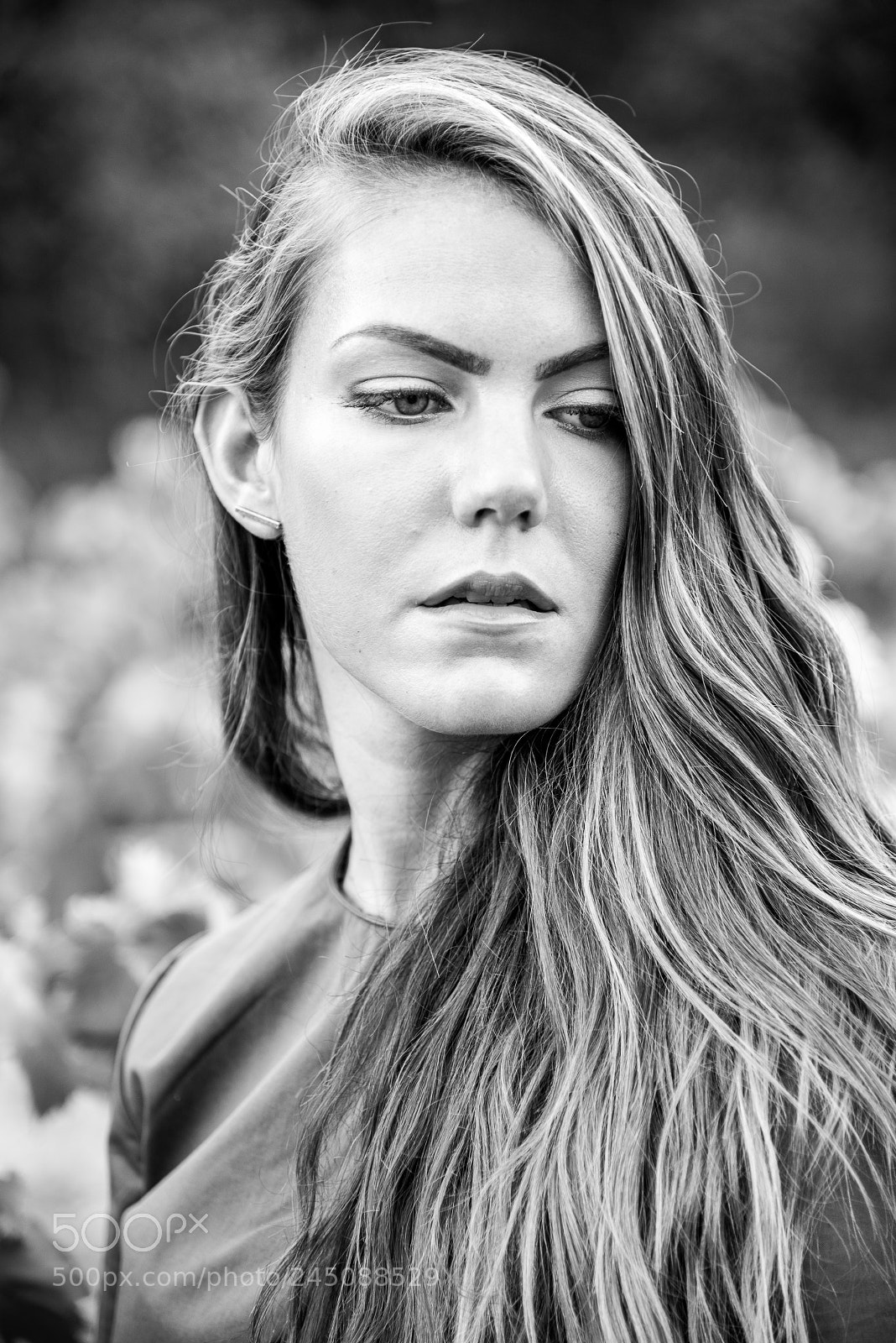 Nikon D800 sample photo. Hlo photography
