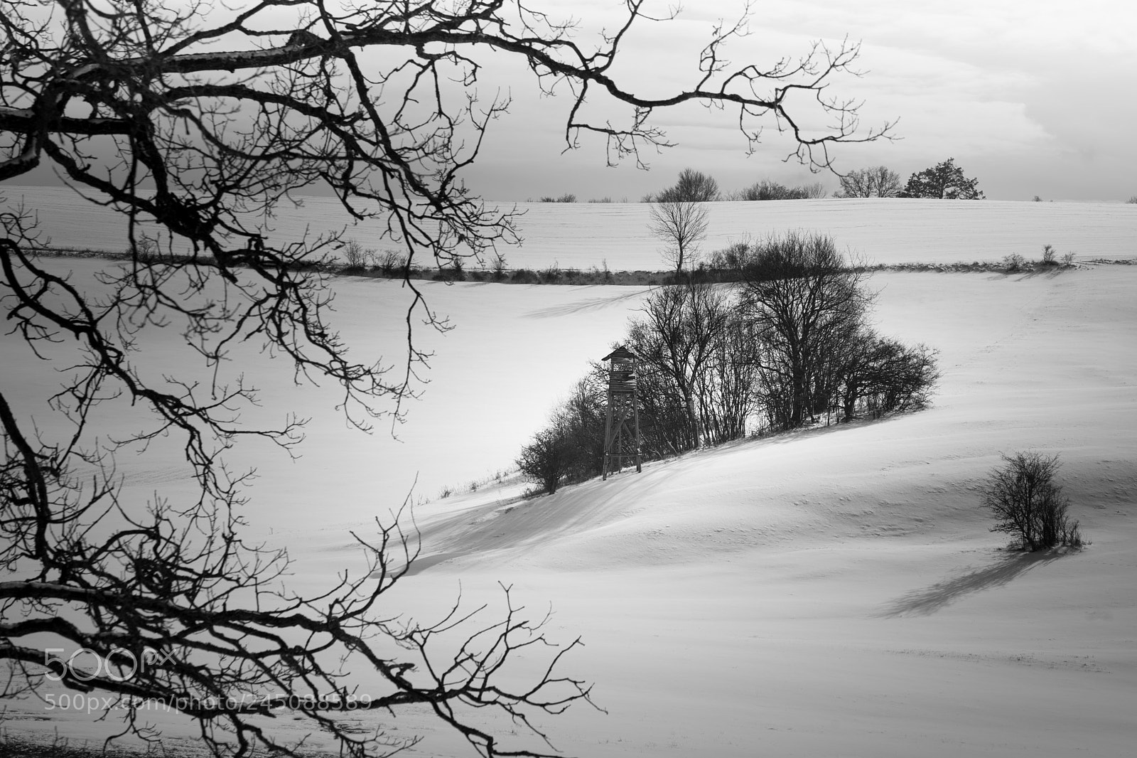 Sony a7 II sample photo. Winter landscape photography