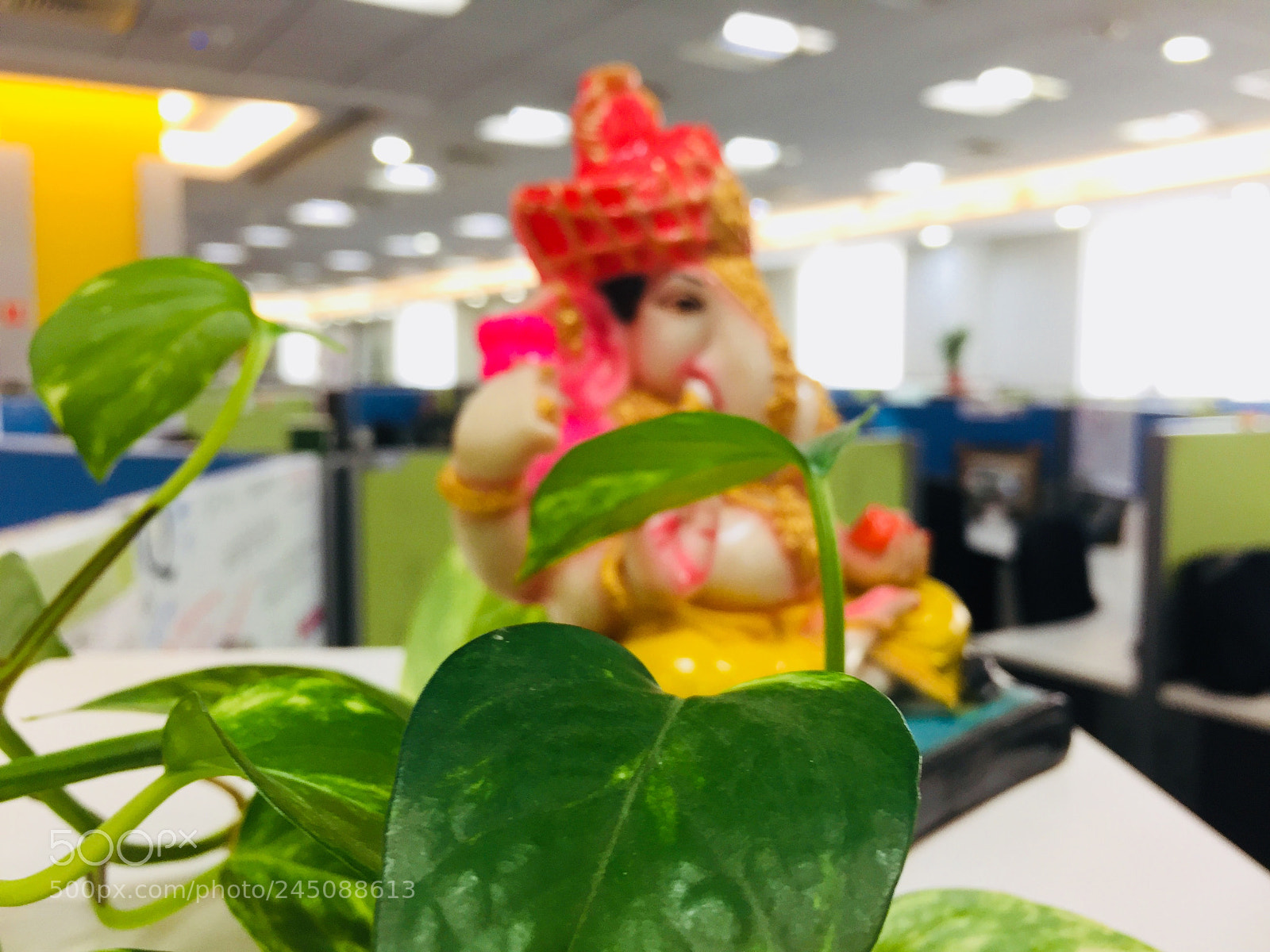 Apple iPhone 6 sample photo. ? photography