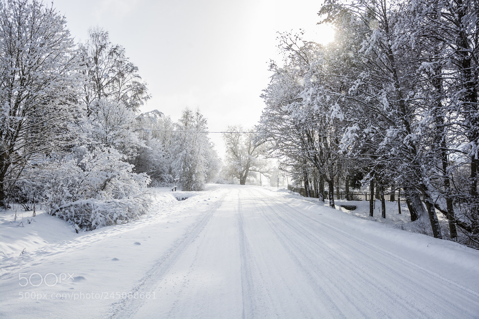 Nikon D7100 sample photo. Sunlight after blizzard photography