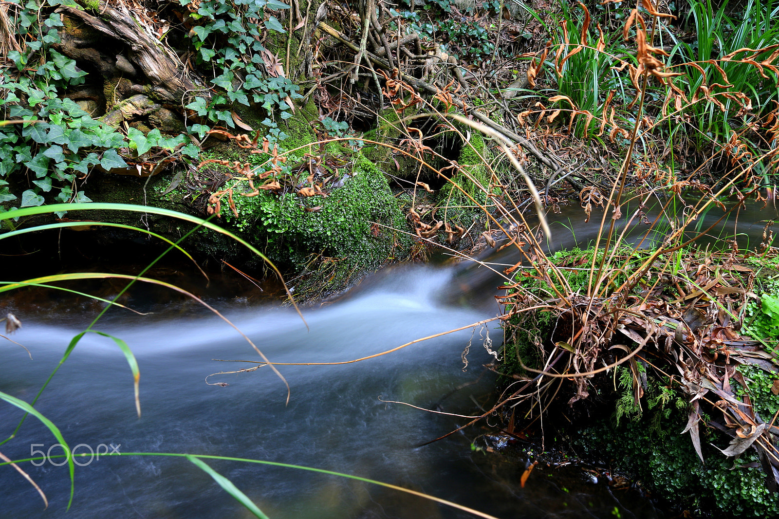 Canon EF-S 18-200mm F3.5-5.6 IS sample photo. Water photography