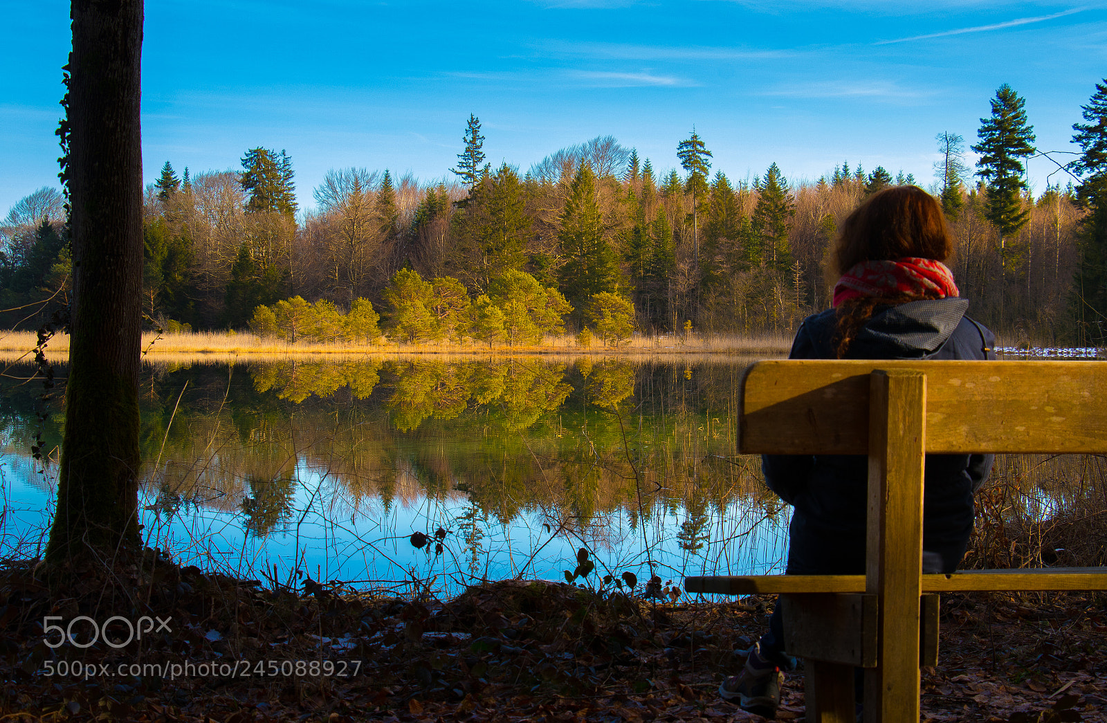 Canon EOS 7D Mark II sample photo. Life looking at herself photography