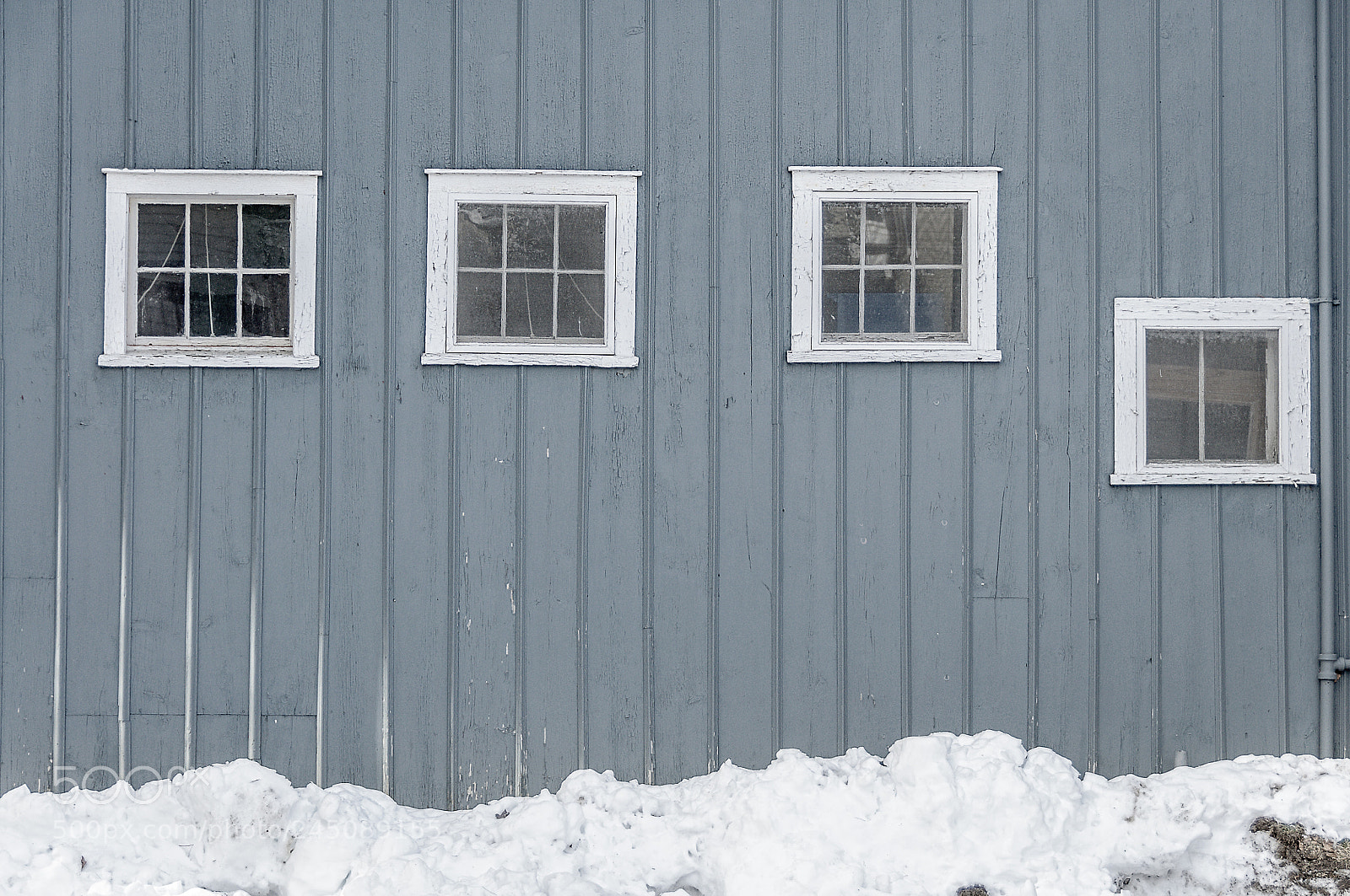 Nikon D90 sample photo. Cold photography