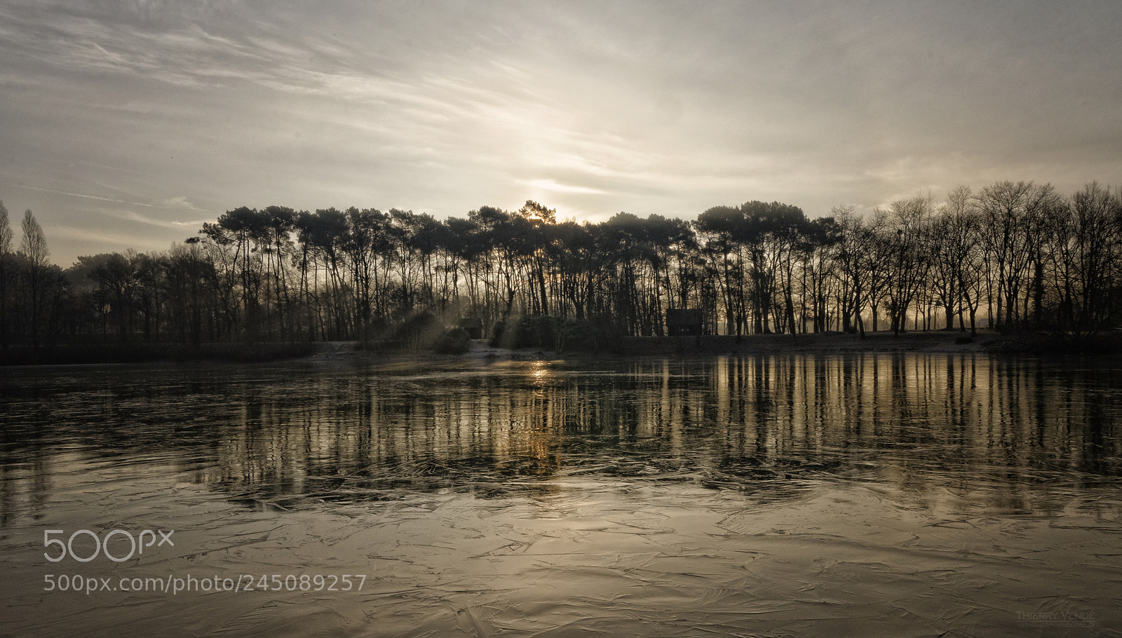 Nikon D5100 sample photo. Frozen pond photography