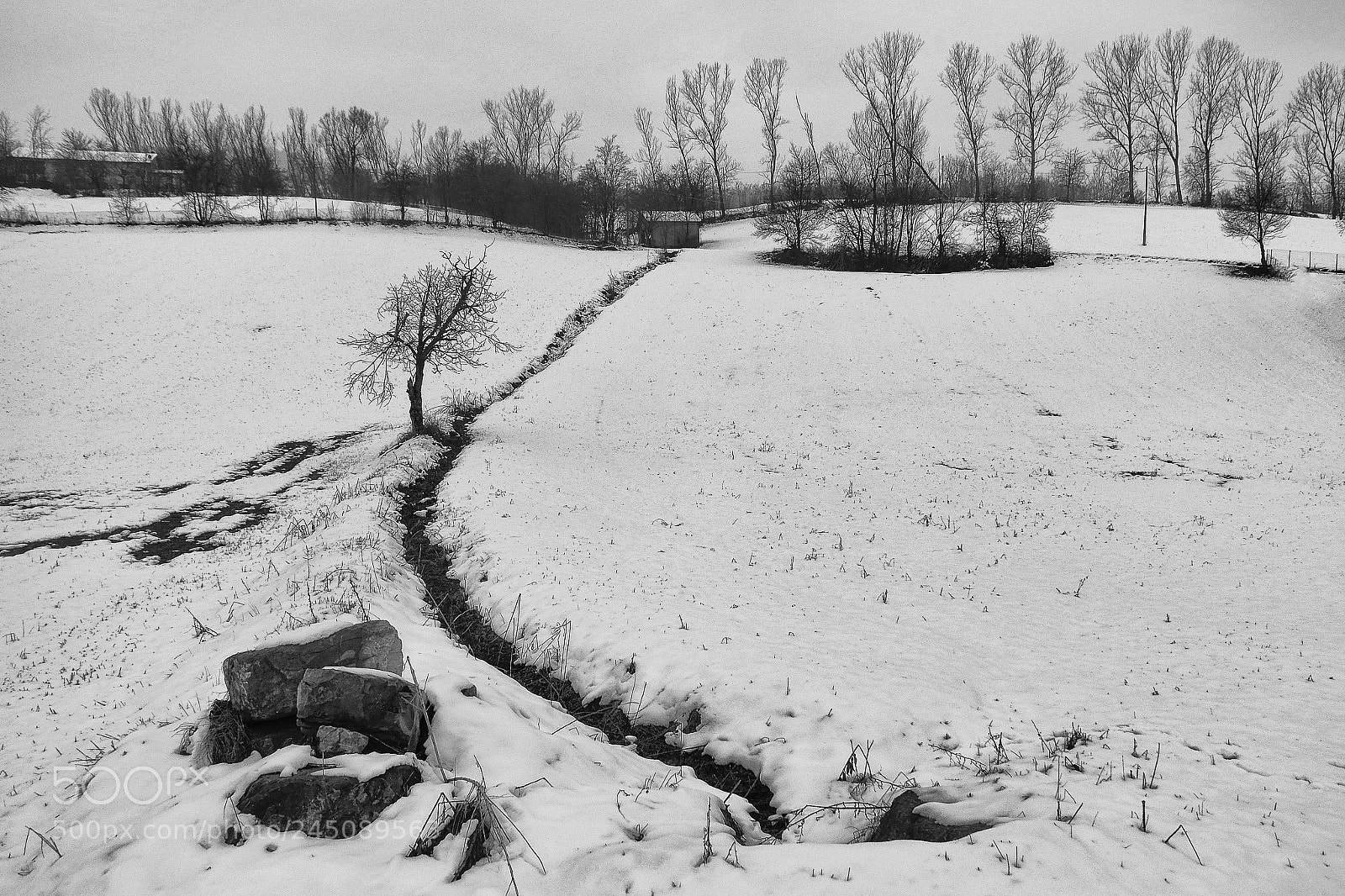 Fujifilm X-A10 sample photo. Snow....... photography