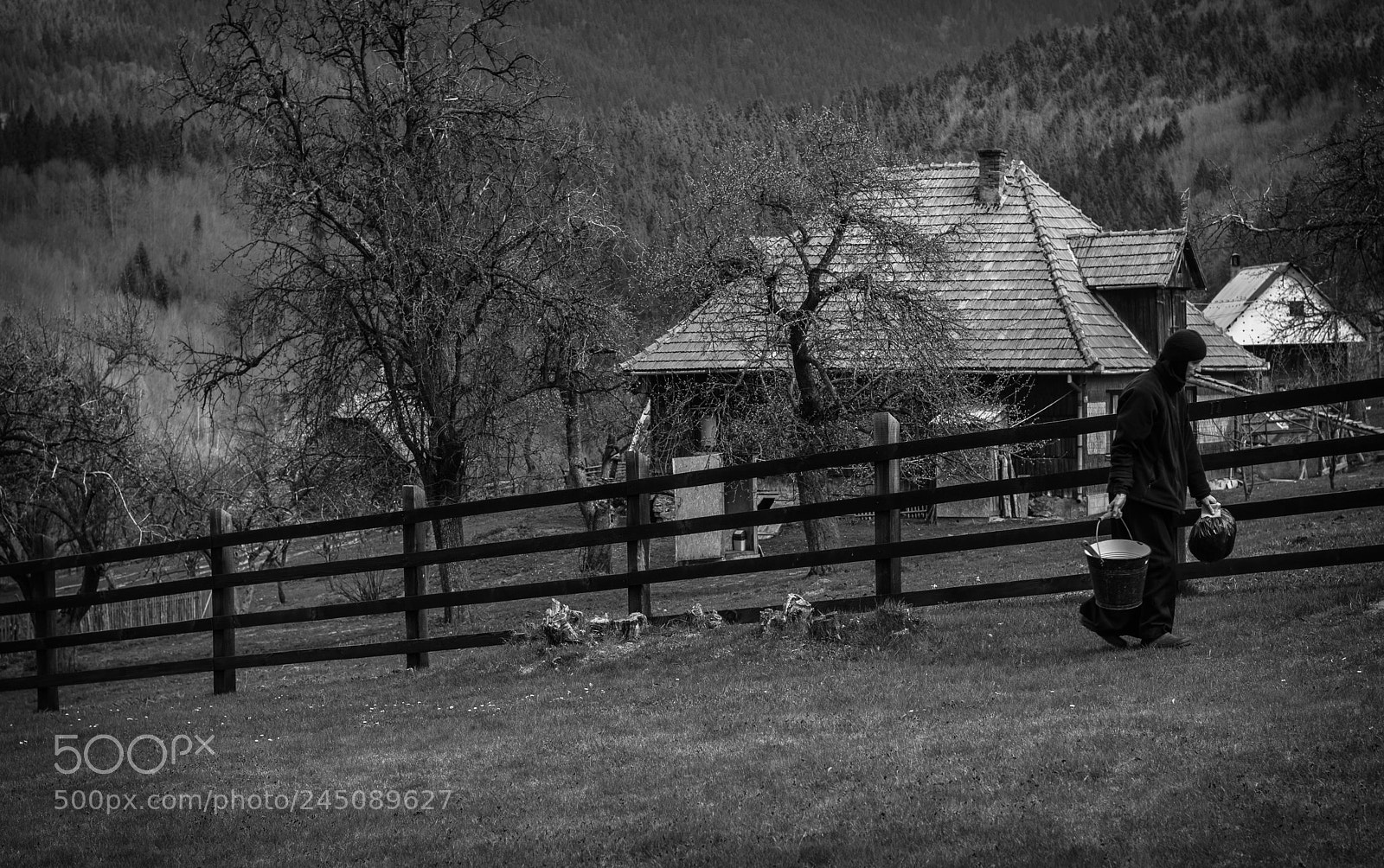 Nikon D5200 sample photo. Daily chores photography