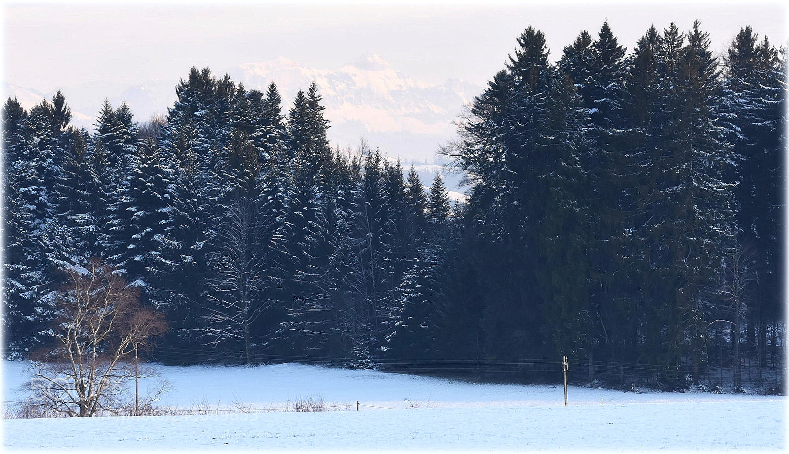 Nikon D7200 sample photo. "landscape" photography
