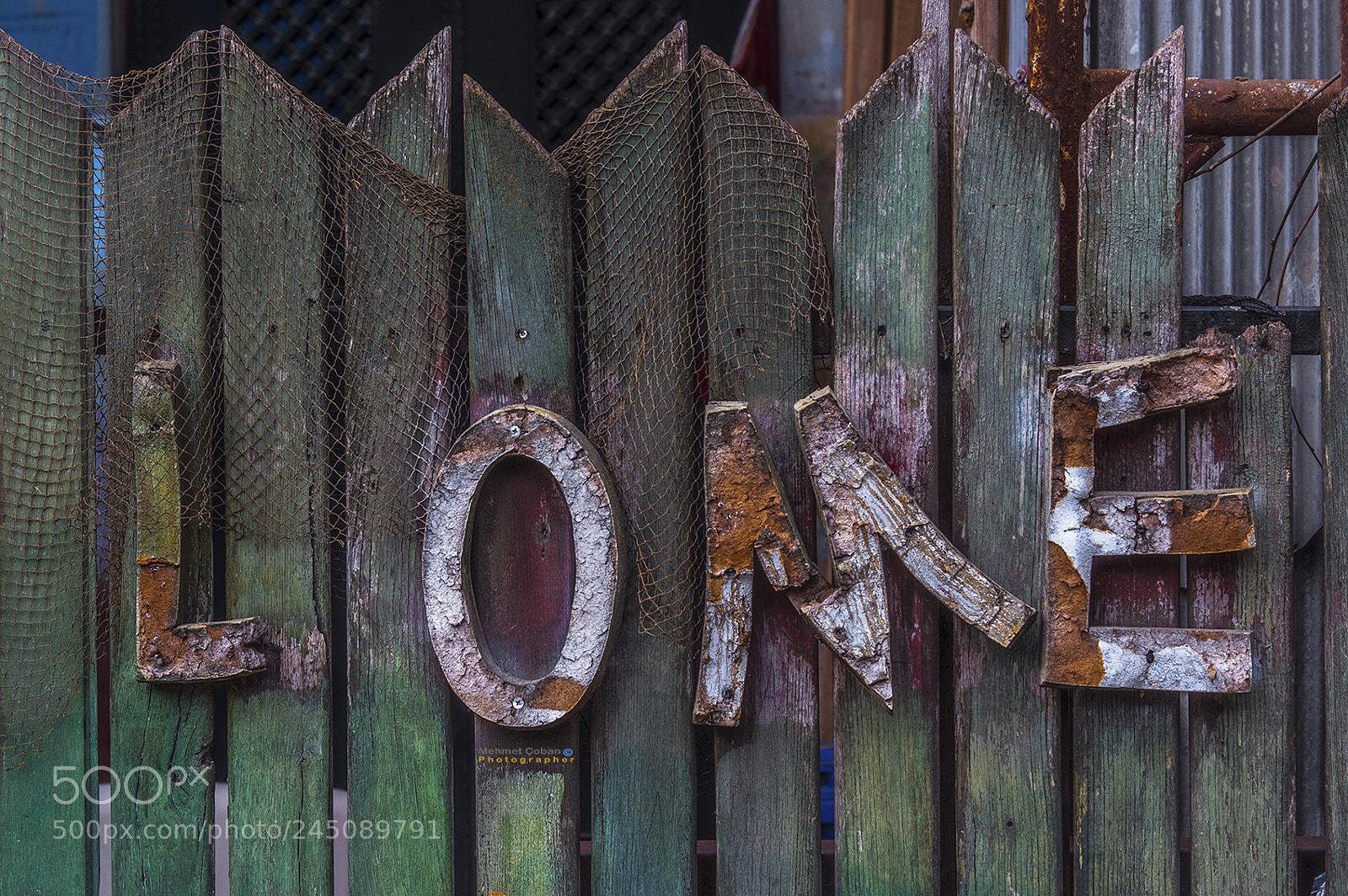 Pentax K-3 II sample photo. Detail. photography
