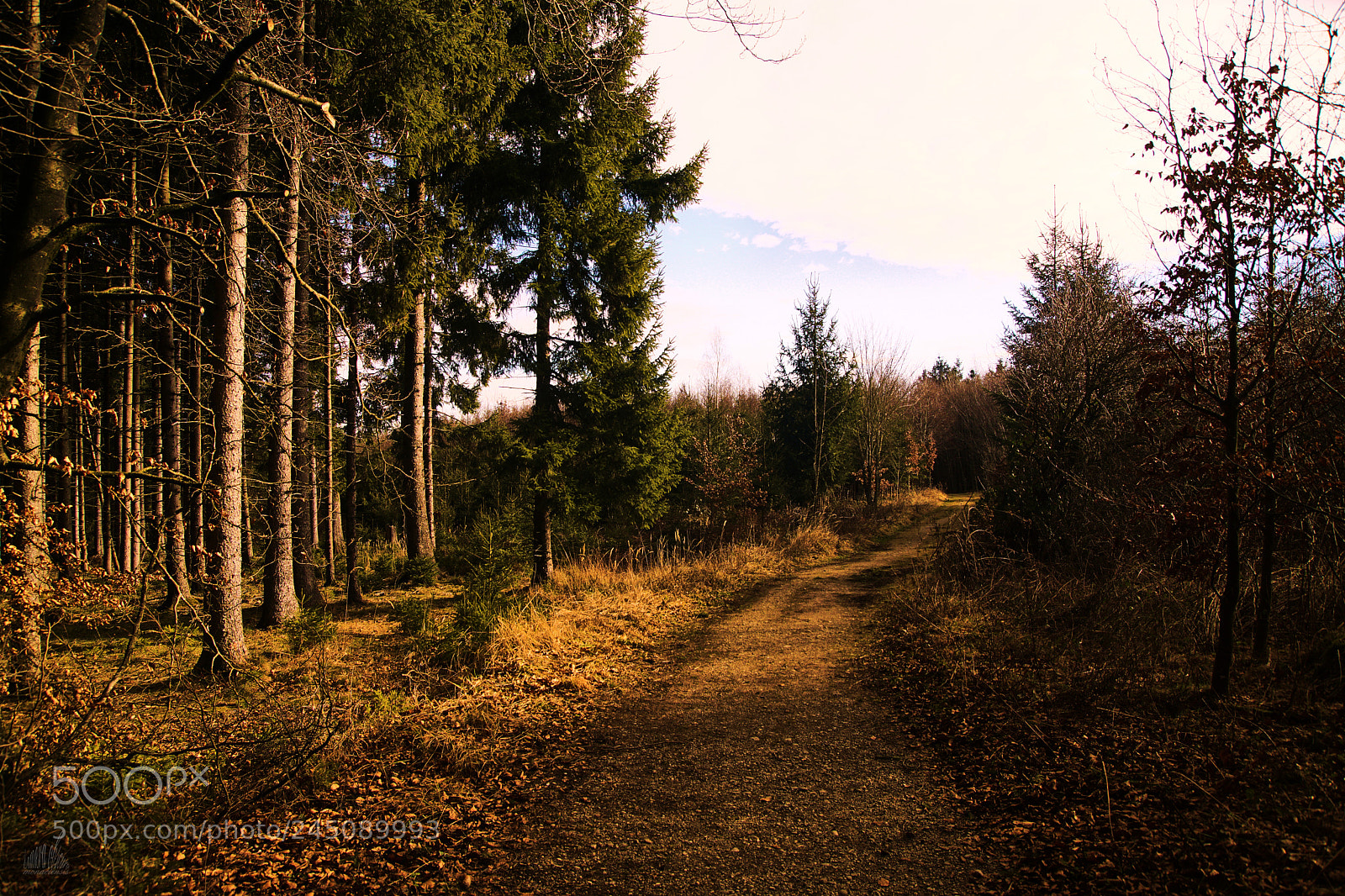 Sony ILCA-77M2 sample photo. Old an young photography