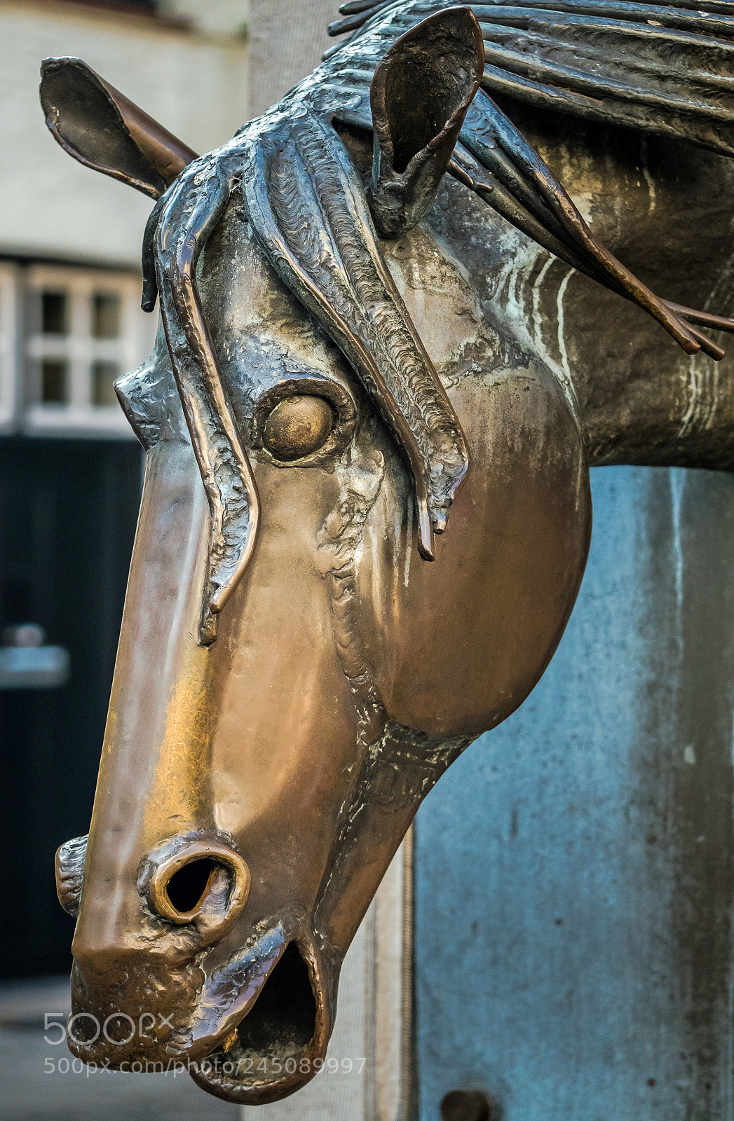 Olympus OM-D E-M5 II sample photo. Olympus digital camera photography