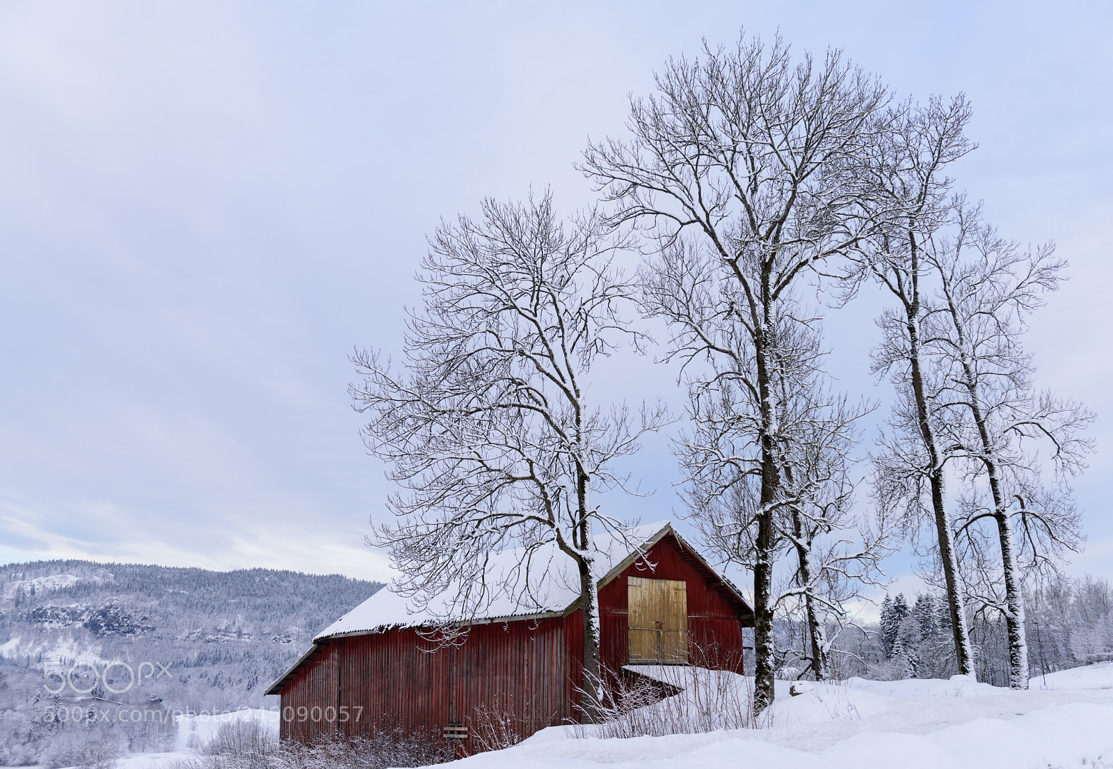 Nikon D810 sample photo. Snowy trees and barn photography