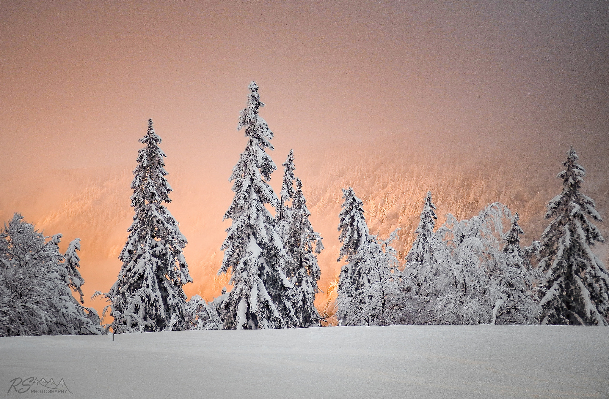 Olympus SZ-30MR sample photo. Orange light in the valley! photography