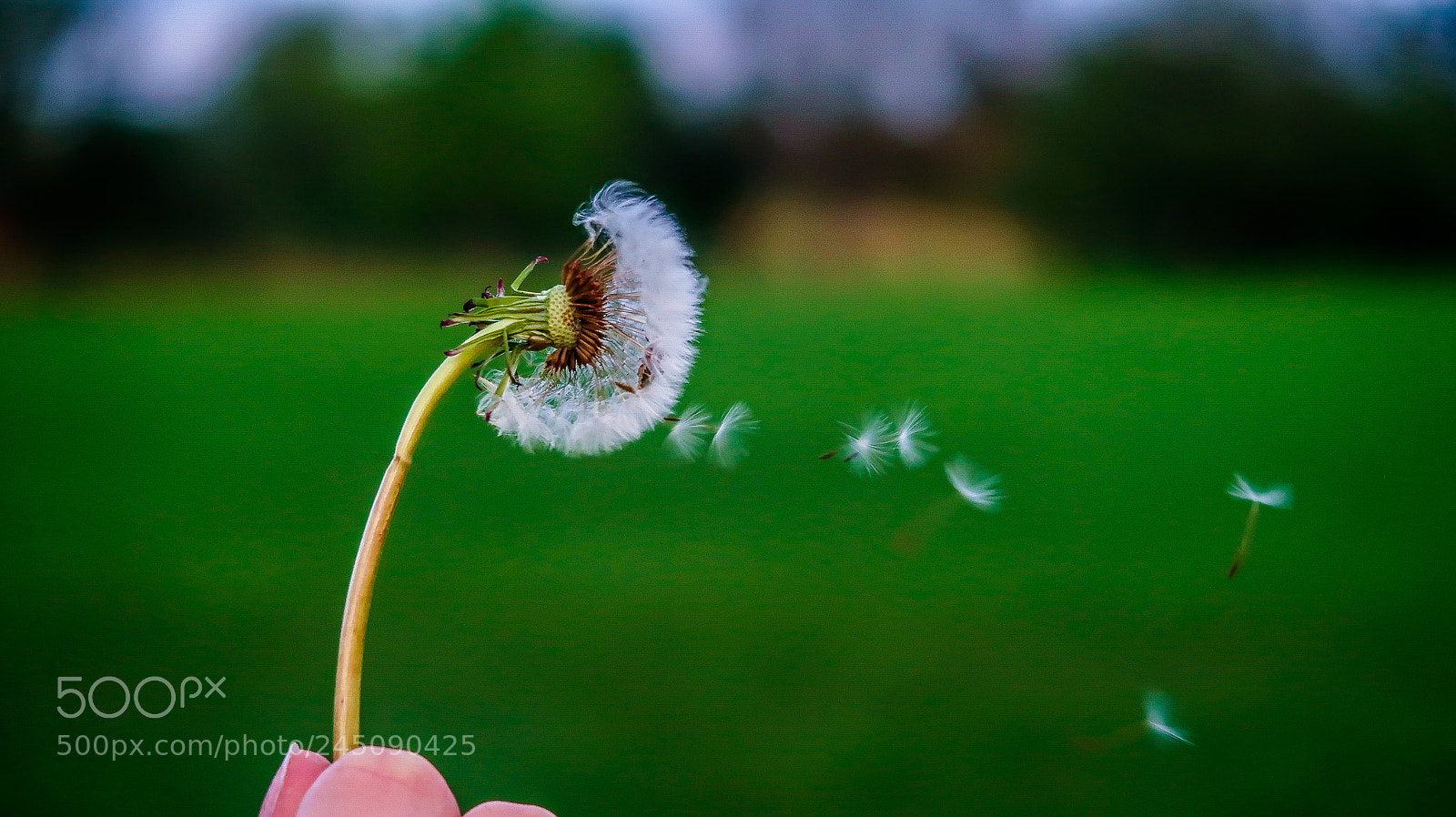Canon PowerShot G7 X Mark II sample photo. Breeze photography
