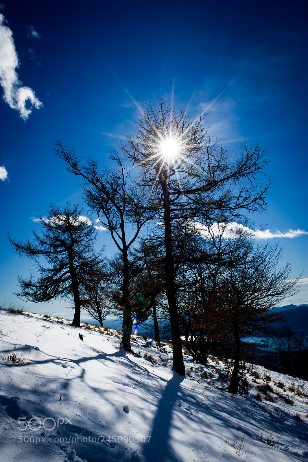 Nikon D3S sample photo. Sun! photography