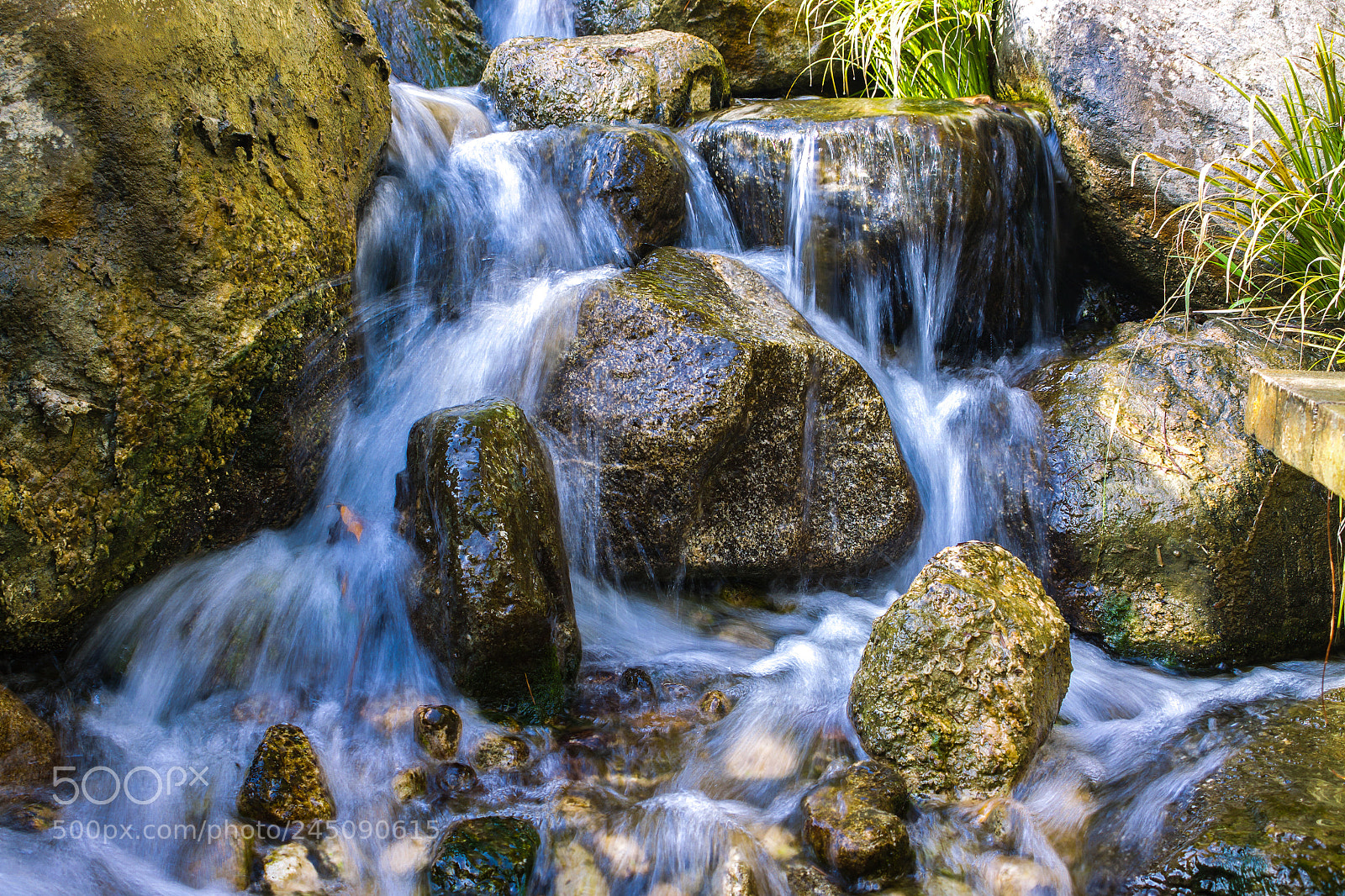 Canon EOS 50D sample photo. Experience the beauty of photography