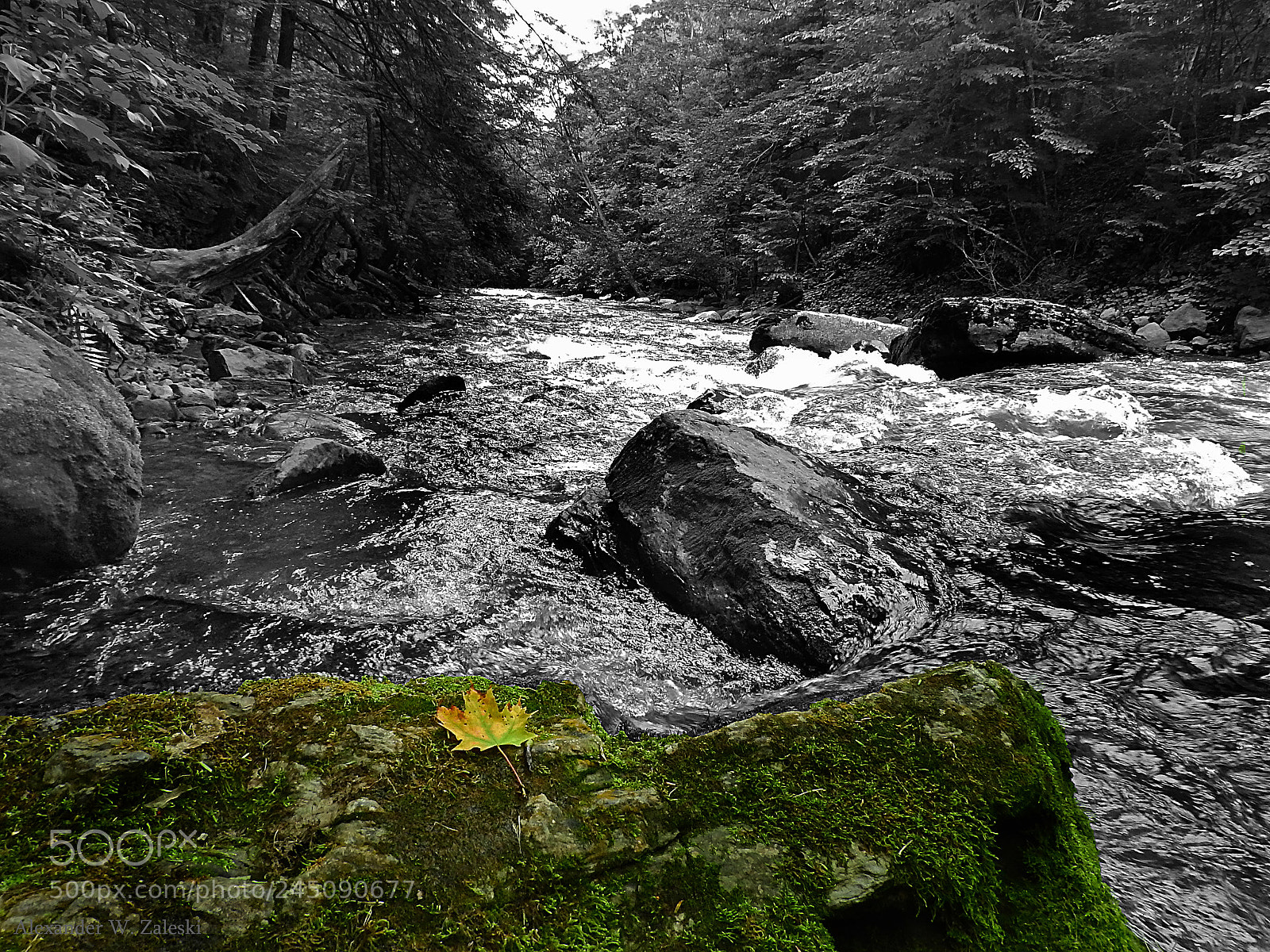 Nikon Coolpix P610 sample photo. Chittenango creek photography