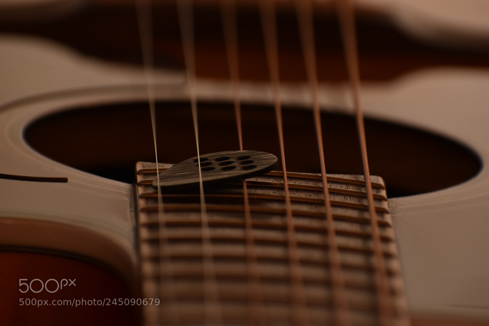 Nikon D5600 sample photo. Untitled photography
