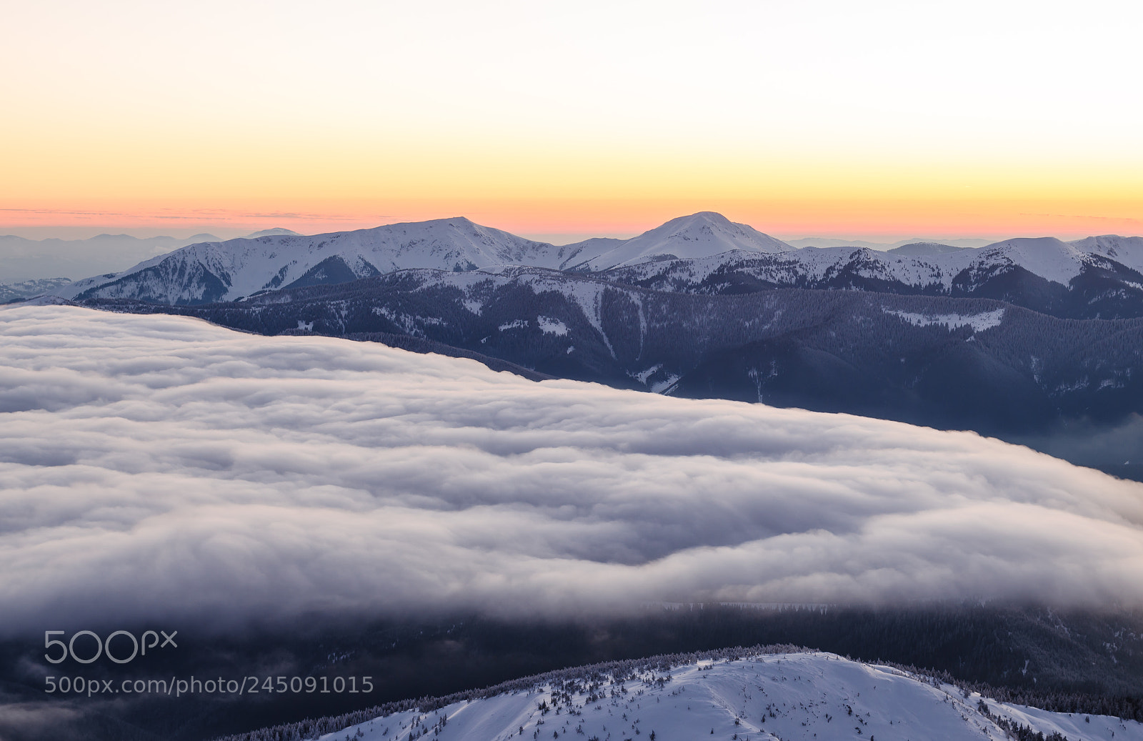 Nikon D5100 sample photo. Foggy sunset photography