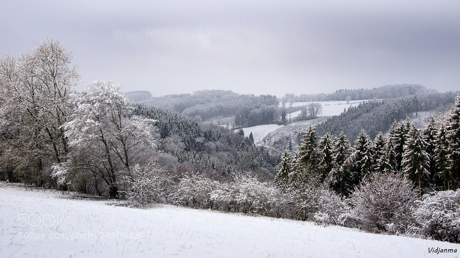 Nikon D610 sample photo. My snowy valley photography