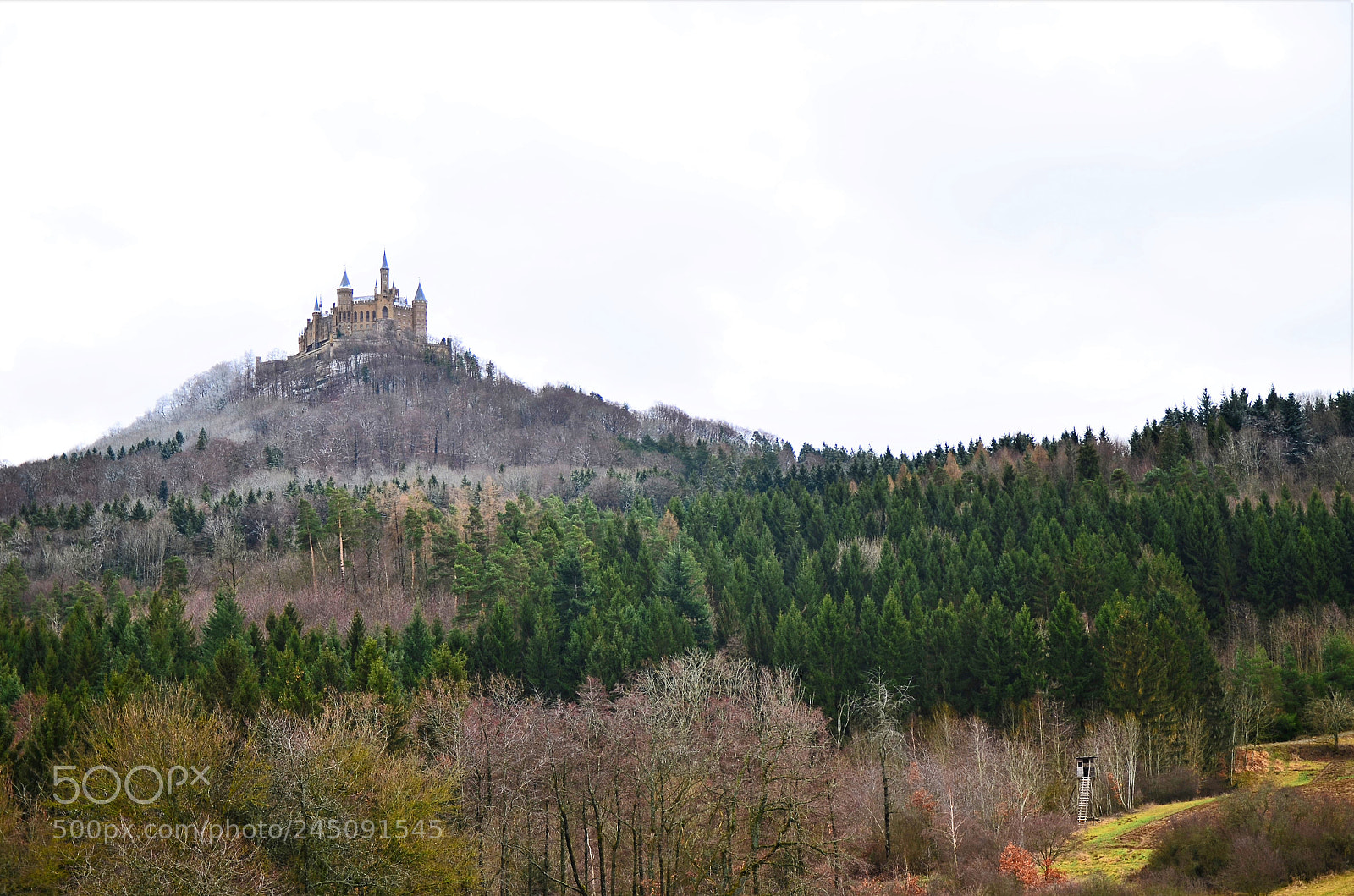 Nikon D5100 sample photo. Castle on the hill photography