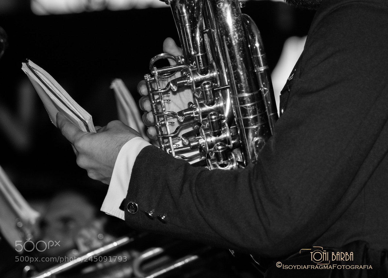 Nikon D80 sample photo. Untitled photography