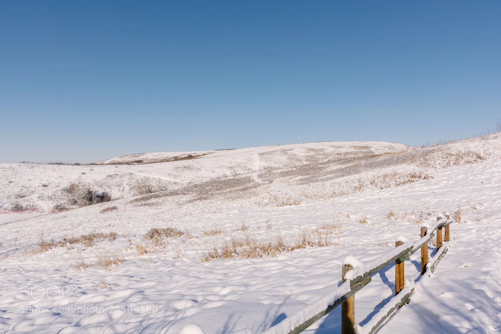Nikon D7100 sample photo. Snowy field photography