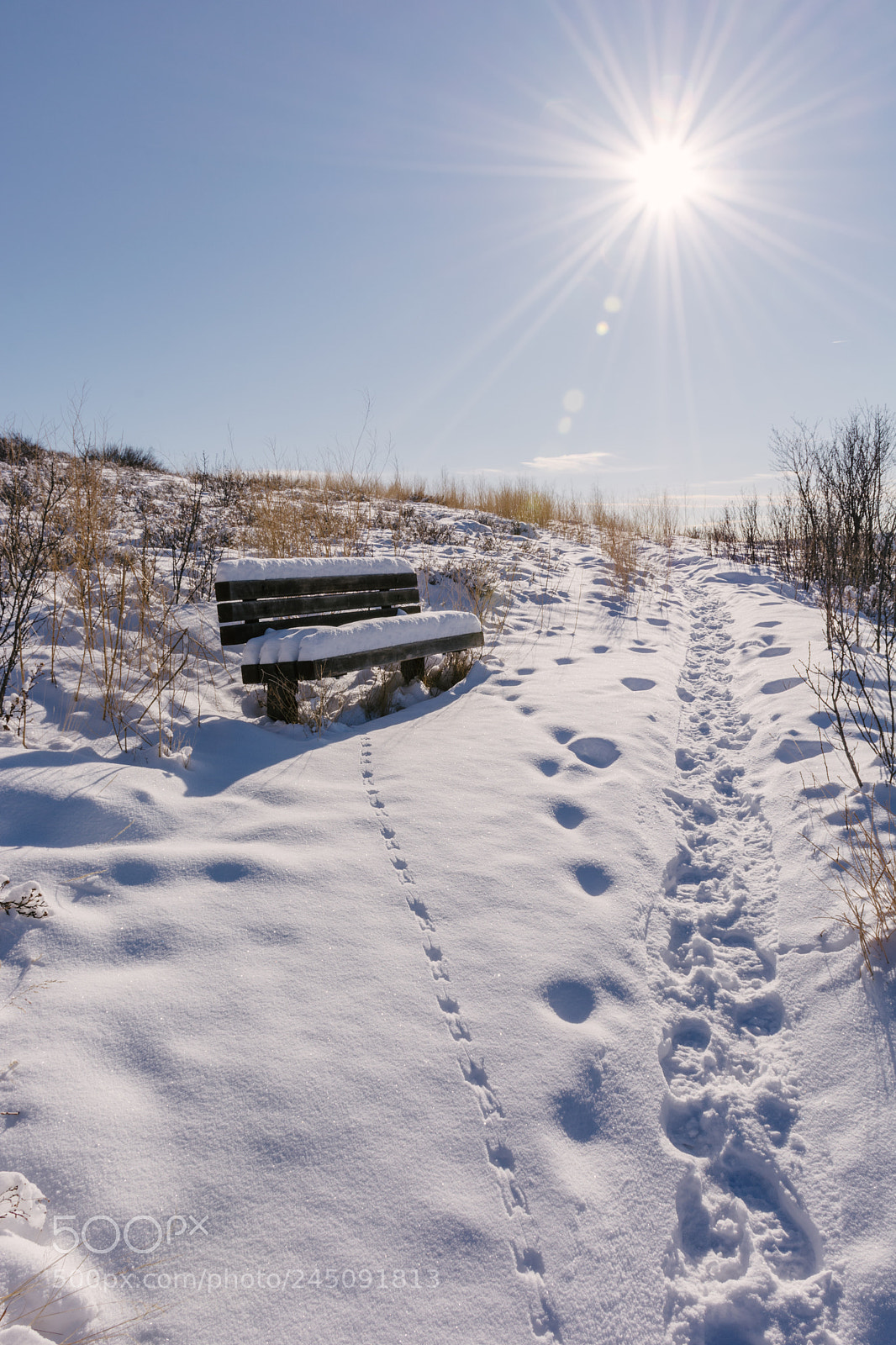 Nikon D7100 sample photo. Wintry bench photography