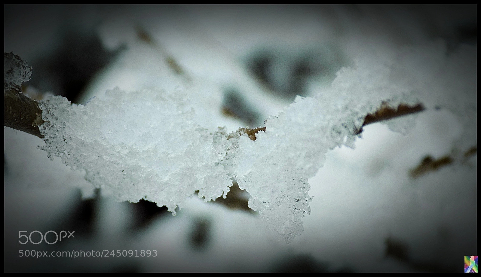 Nikon COOLPIX L340 sample photo. Nieve photography