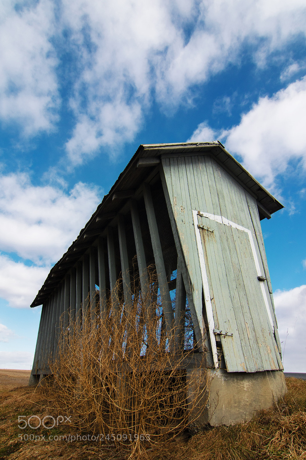 Canon EOS 7D Mark II sample photo. Farm life photography