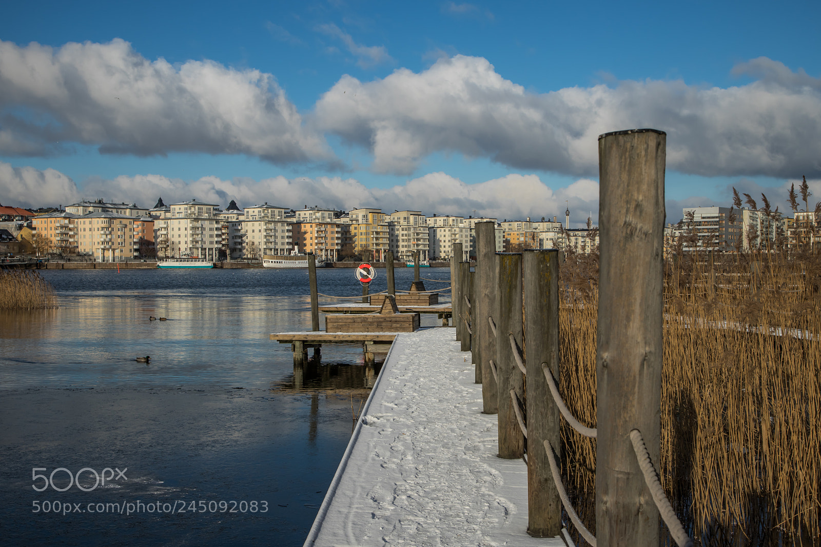 Canon EOS 6D Mark II sample photo. A winter day photography