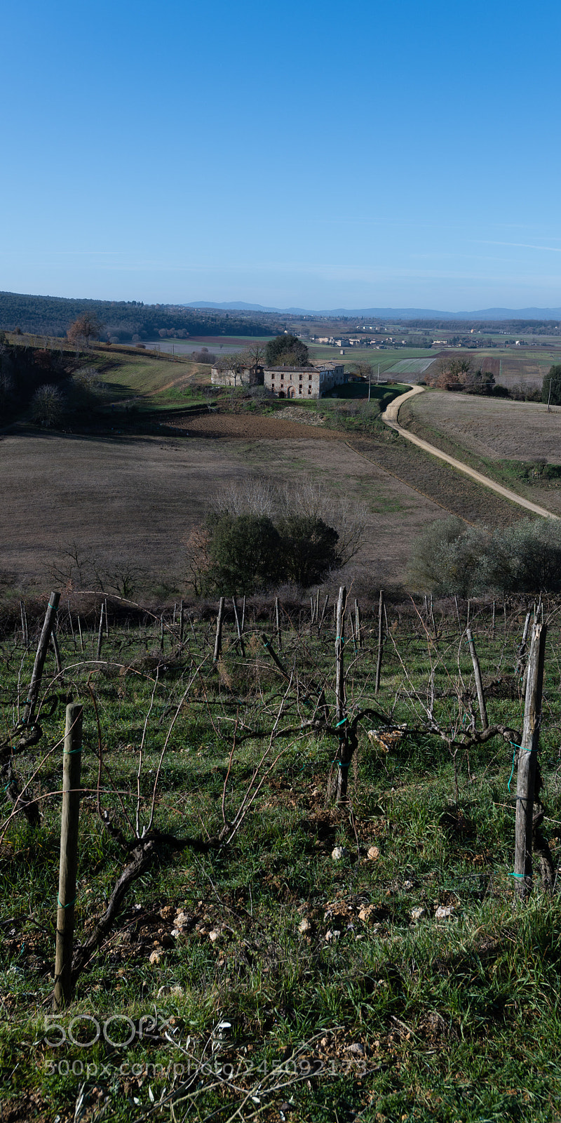 Nikon D850 sample photo. Corps de ferme photography