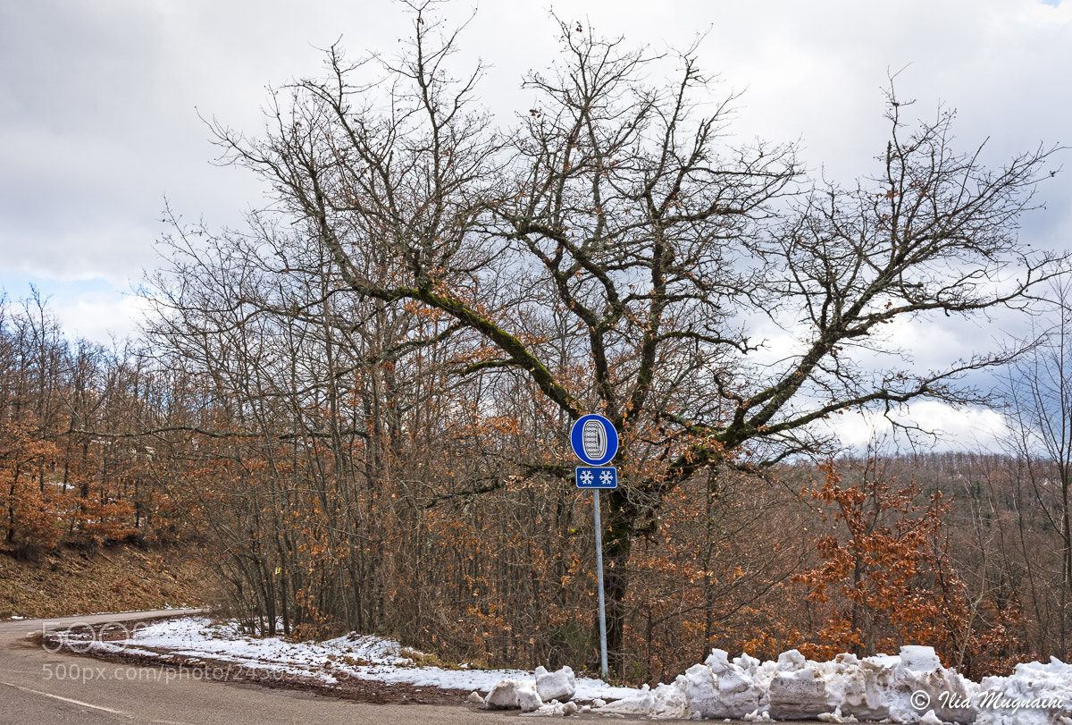 Nikon D7200 sample photo. In case of snowstorm photography